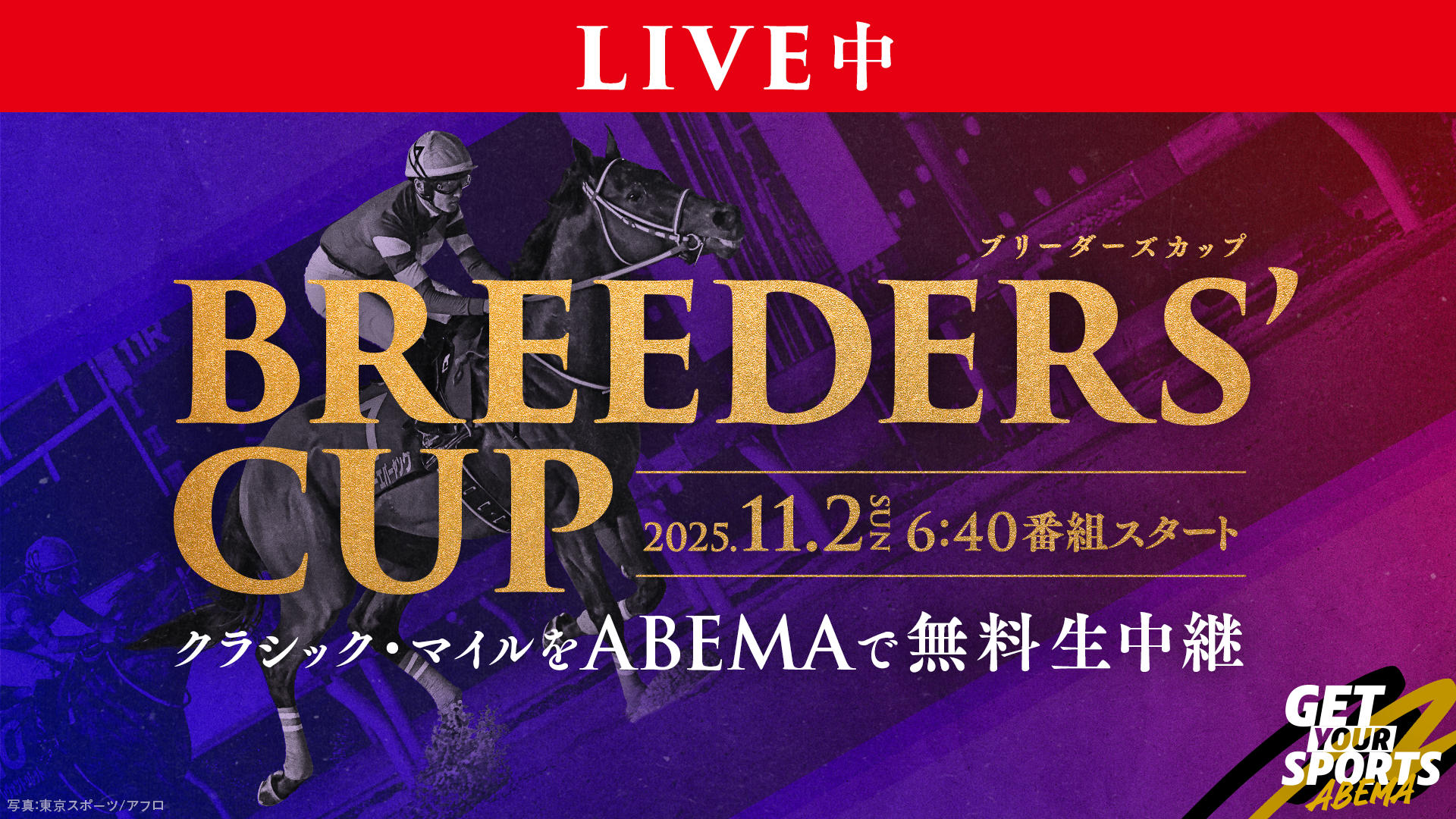 フォーエバーヤング 2025年ブリーダーズカップ レーシングプログラム両日セット フォーエバーヤング 2025年ブリーダーズカップ レーシングプログラム