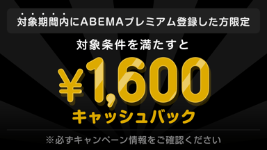 新品　k-1 ワールドマックス 30100-317-