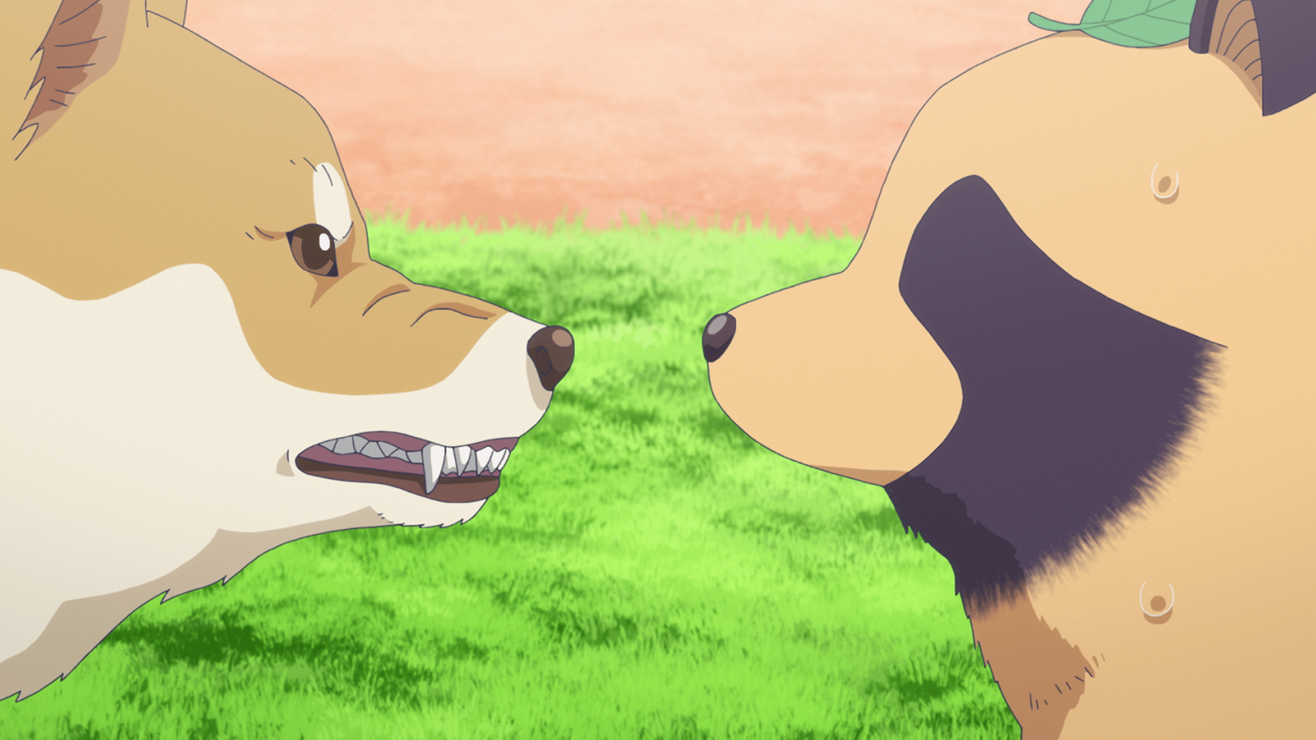 雨と君と (アニメ) | 無料動画・見逃し配信を見るなら | ABEMA