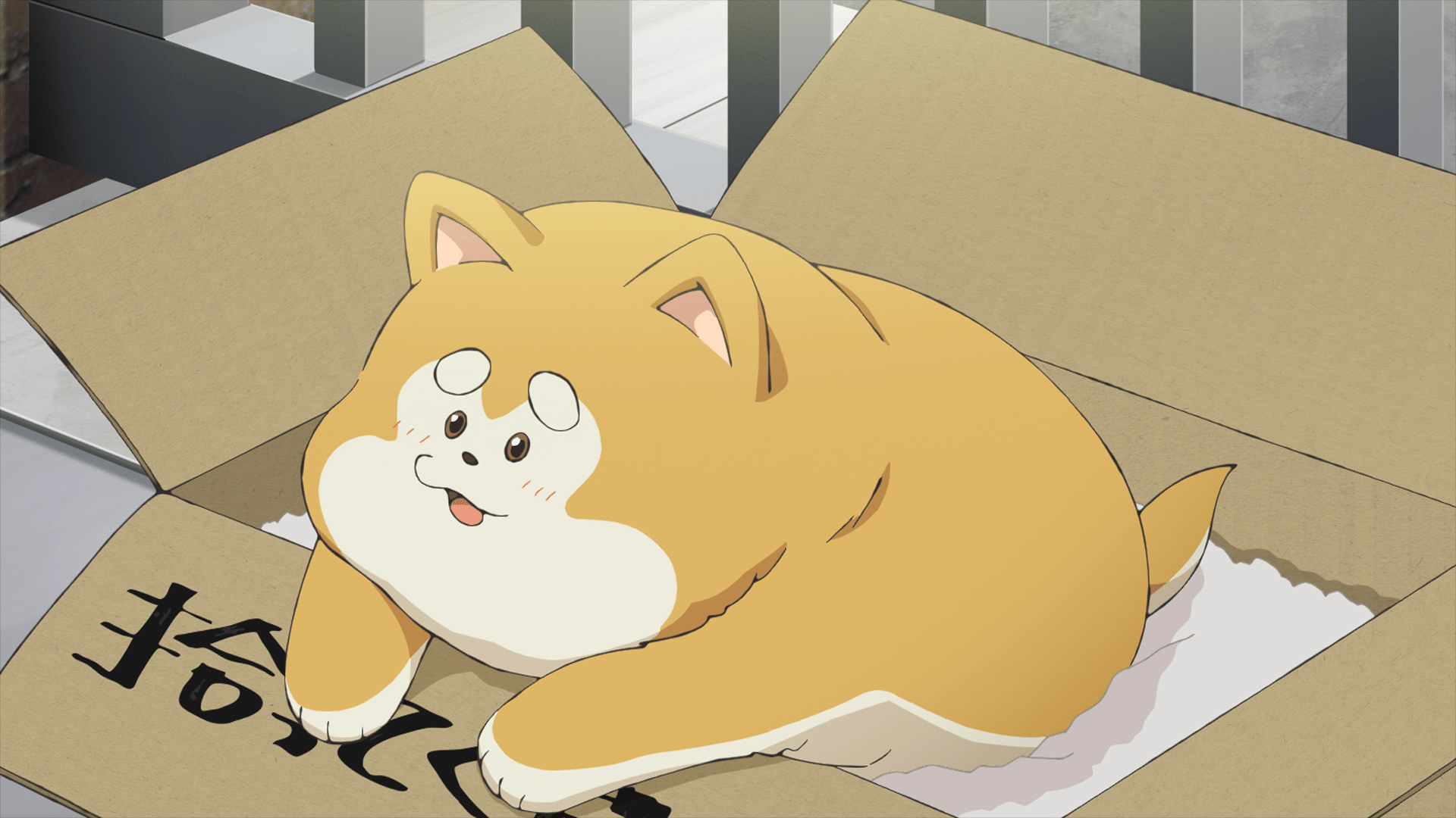 DVD/君は冥土様（全12話） 君は冥土様。 | 番組 | AT-X