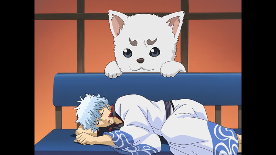 thumb002.png?height=720&