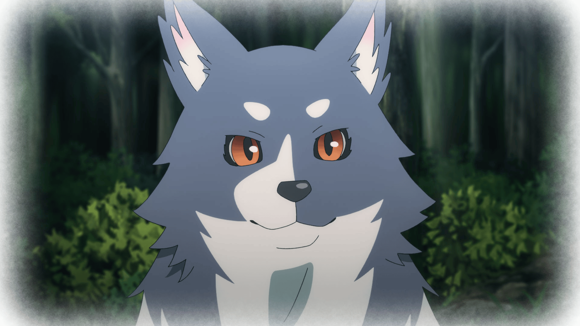 thumb001.png?height=720&