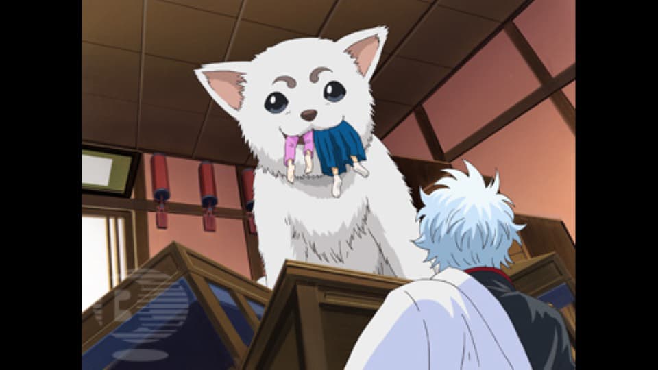 銀魂１話〜４６話 銀魂 - 1年目 - 45話 (アニメ) | 無料動画・見逃し配信を見るなら | ABEMA