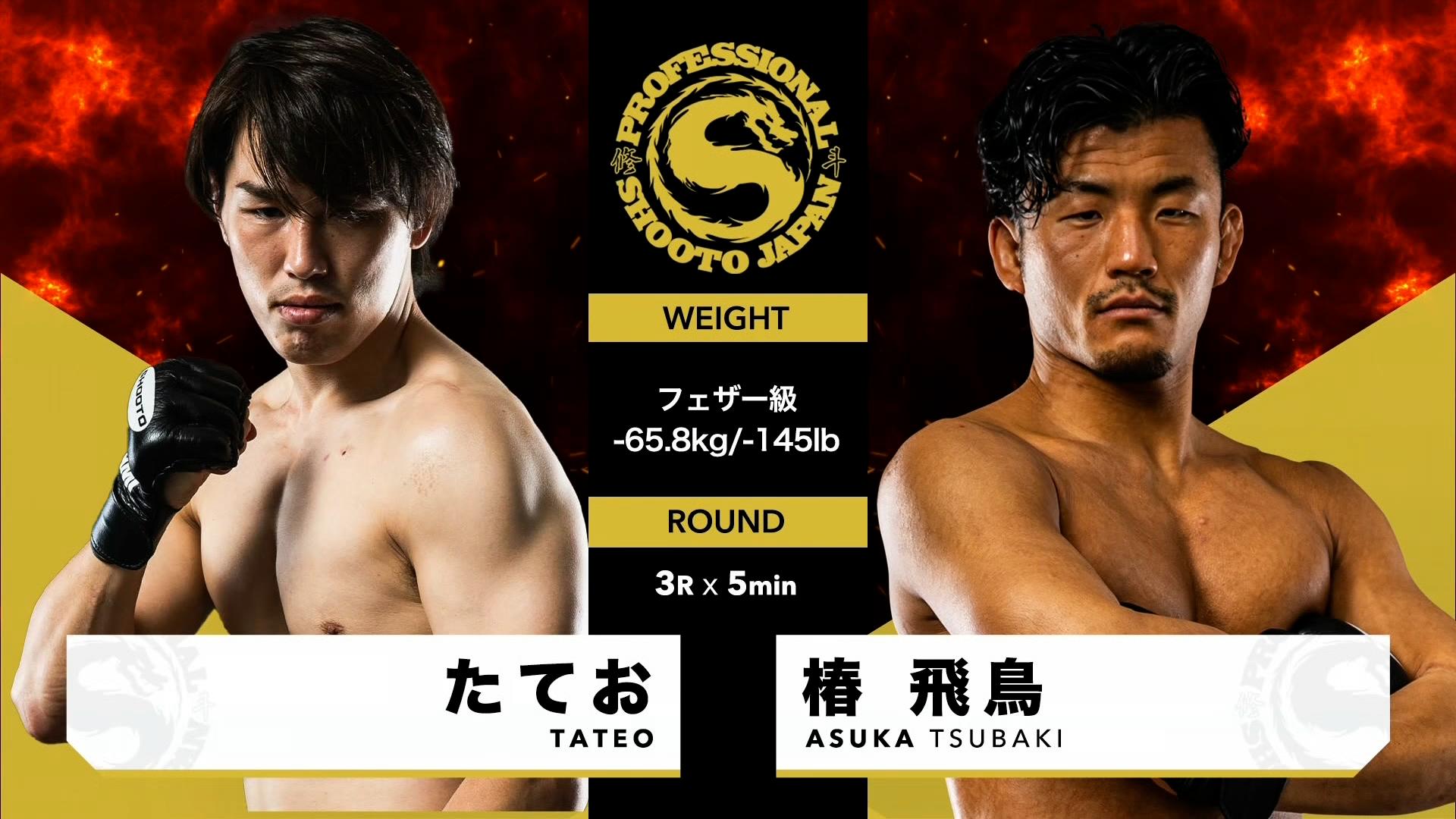 塩田“GoZo”歩 ゼロからの基礎貫徹MMA DVD版 柔術DVD