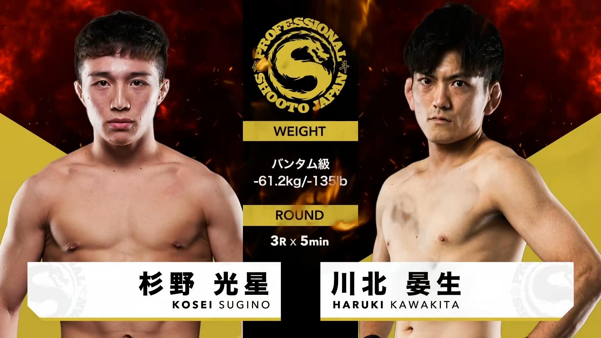 【ジャッジ報奨】ウギンの目 MTG ウギンの目 ジャッジ褒賞 foil Foil】《ウギンの目/Eye of