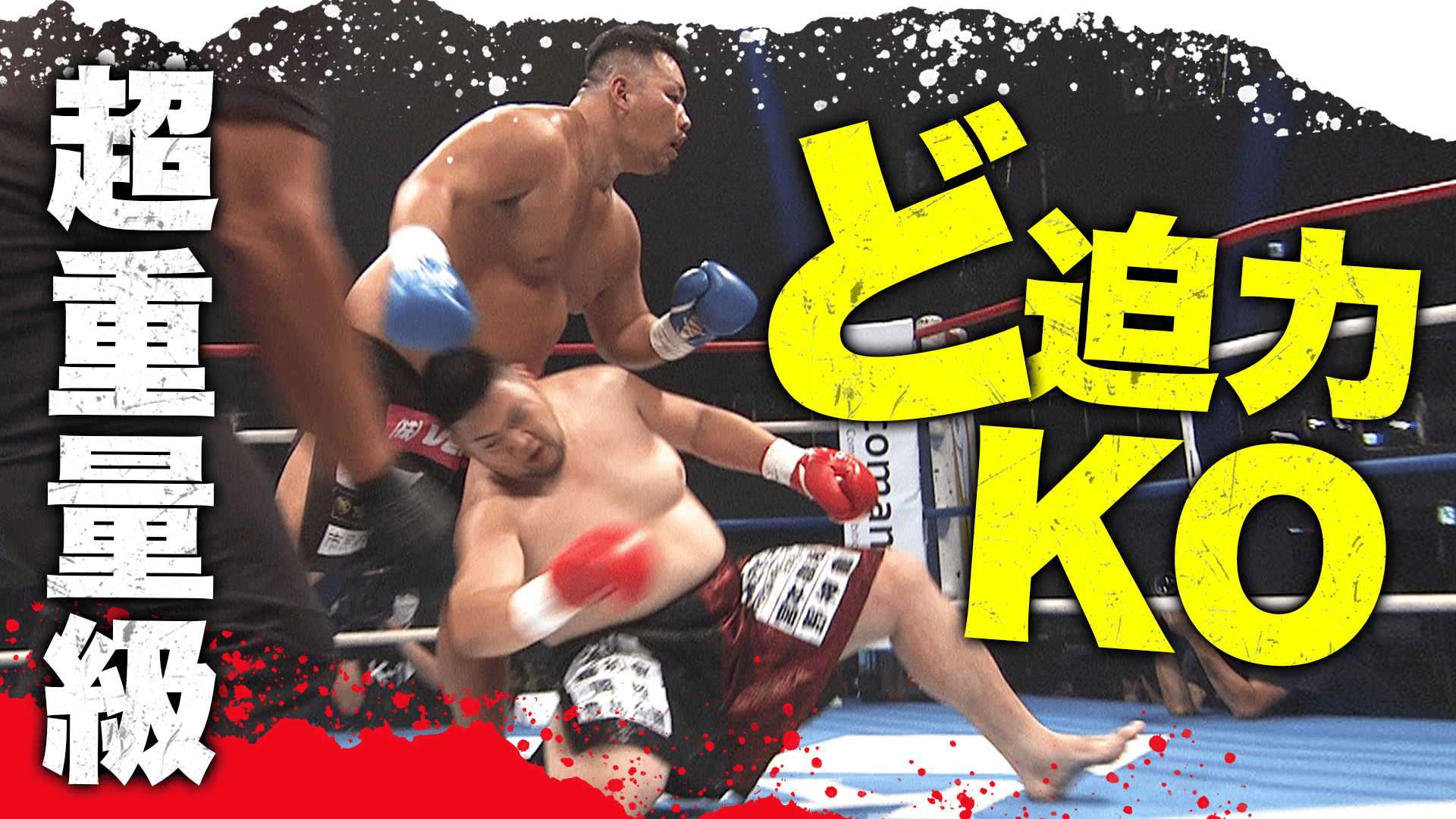 thumb001.png?height=504& 