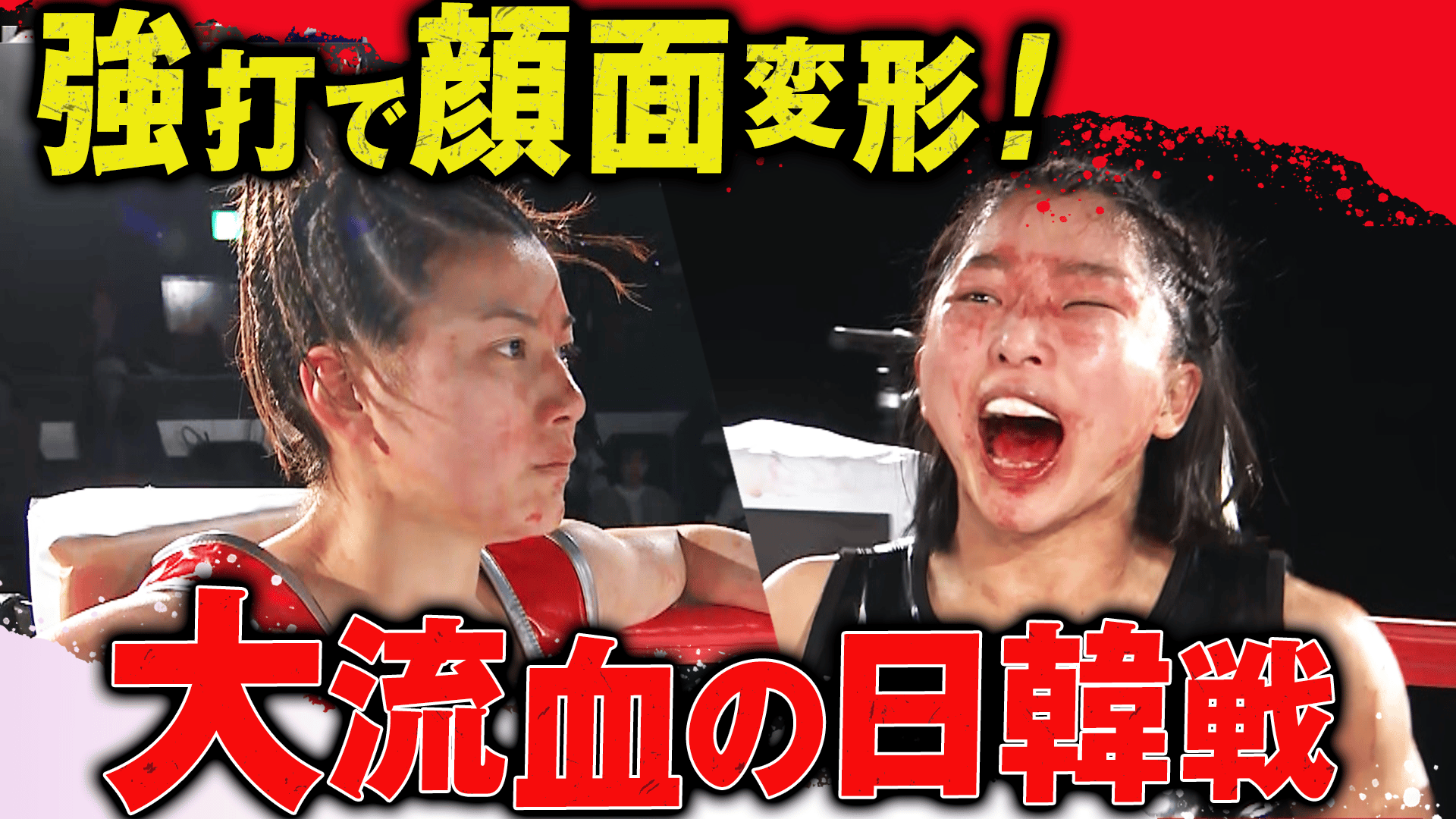 キョンキョン 2025 Kawasaki ZX636, K | JKBZXJJ13SA018382 | Bid History