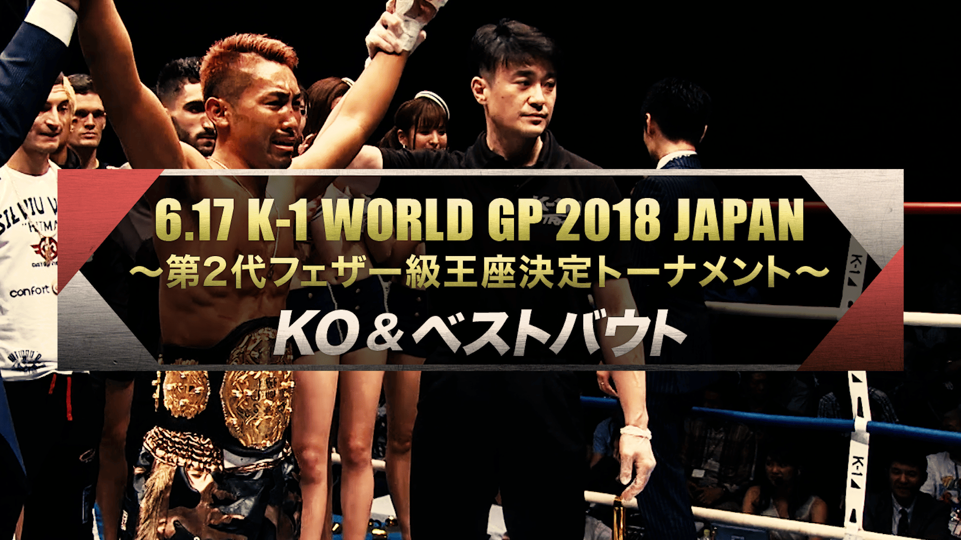 ハズブロー　ホーストVSフグ　K−1グランプリ’97FINAL　＃G.I.ジョー K－1 K1 GRAND PRIX'97 決勝戦1997年11月9日 東京