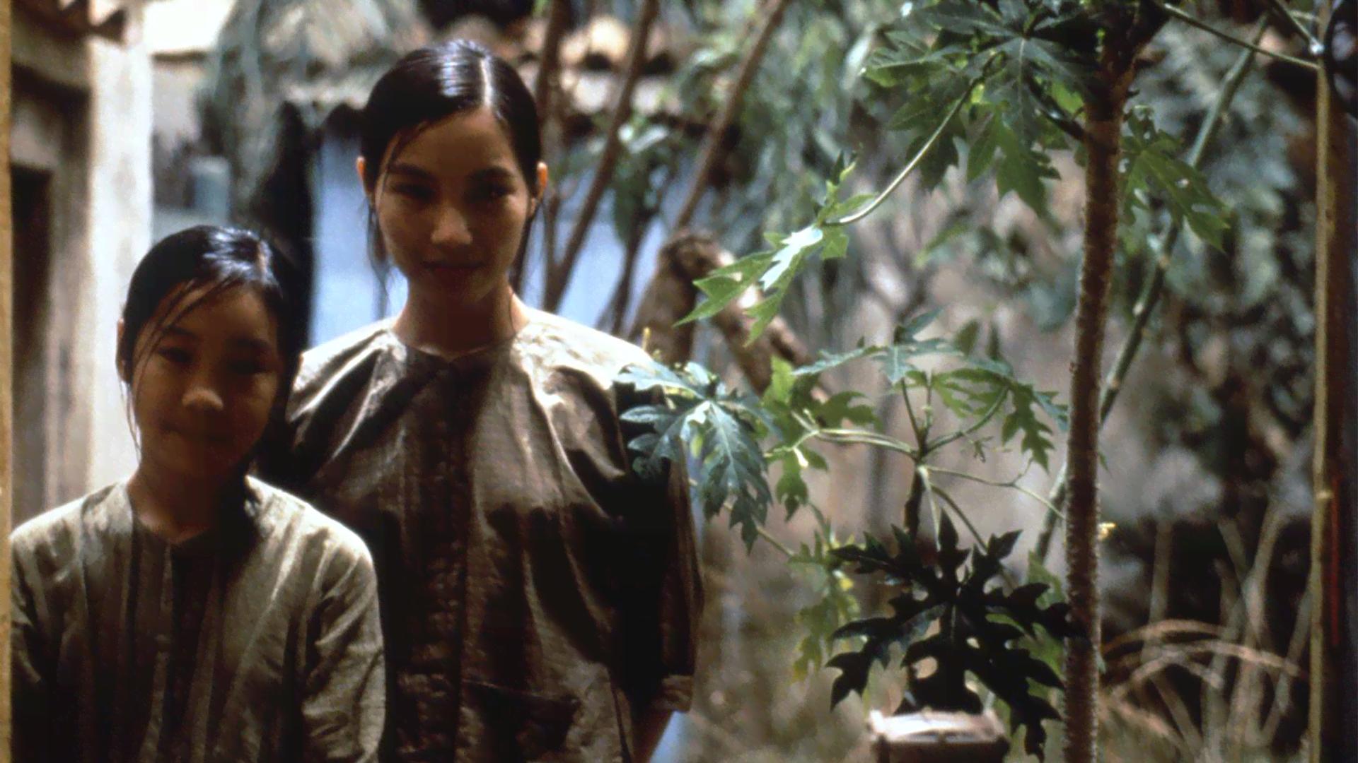 青いパパイヤの香り　中古VHSビデオ　字幕スーパー　トラン・アン・ユン監督作品 青いパパイヤの香り 中古VHSビデオ 字幕スーパー トラン・アン