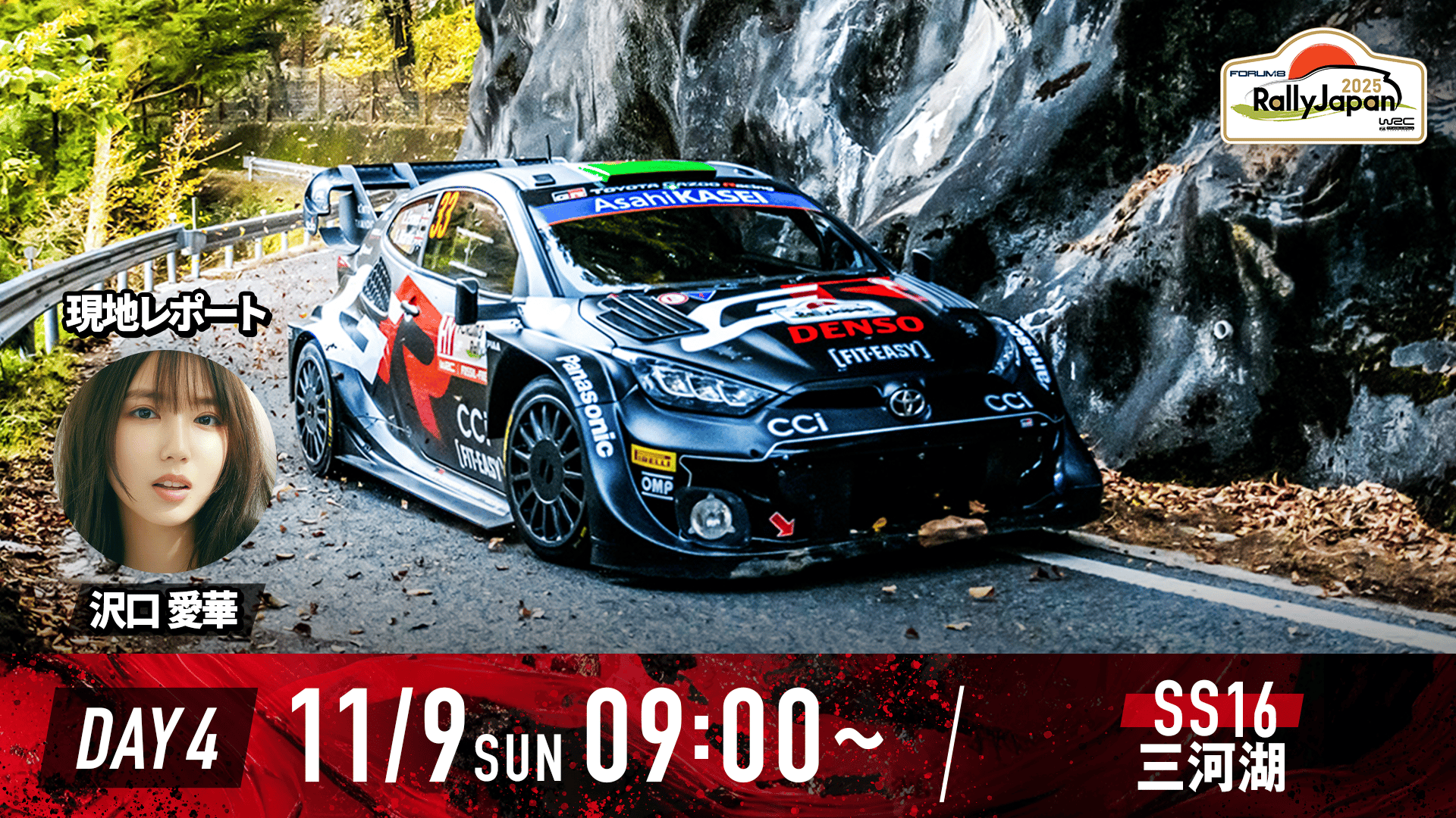 CMsコーポレーション ラリーカーコレクションWRCラリージャパン16台セット CM'S ラリーカーコレクション WRC ラリージャパン 16台 ラリーカー