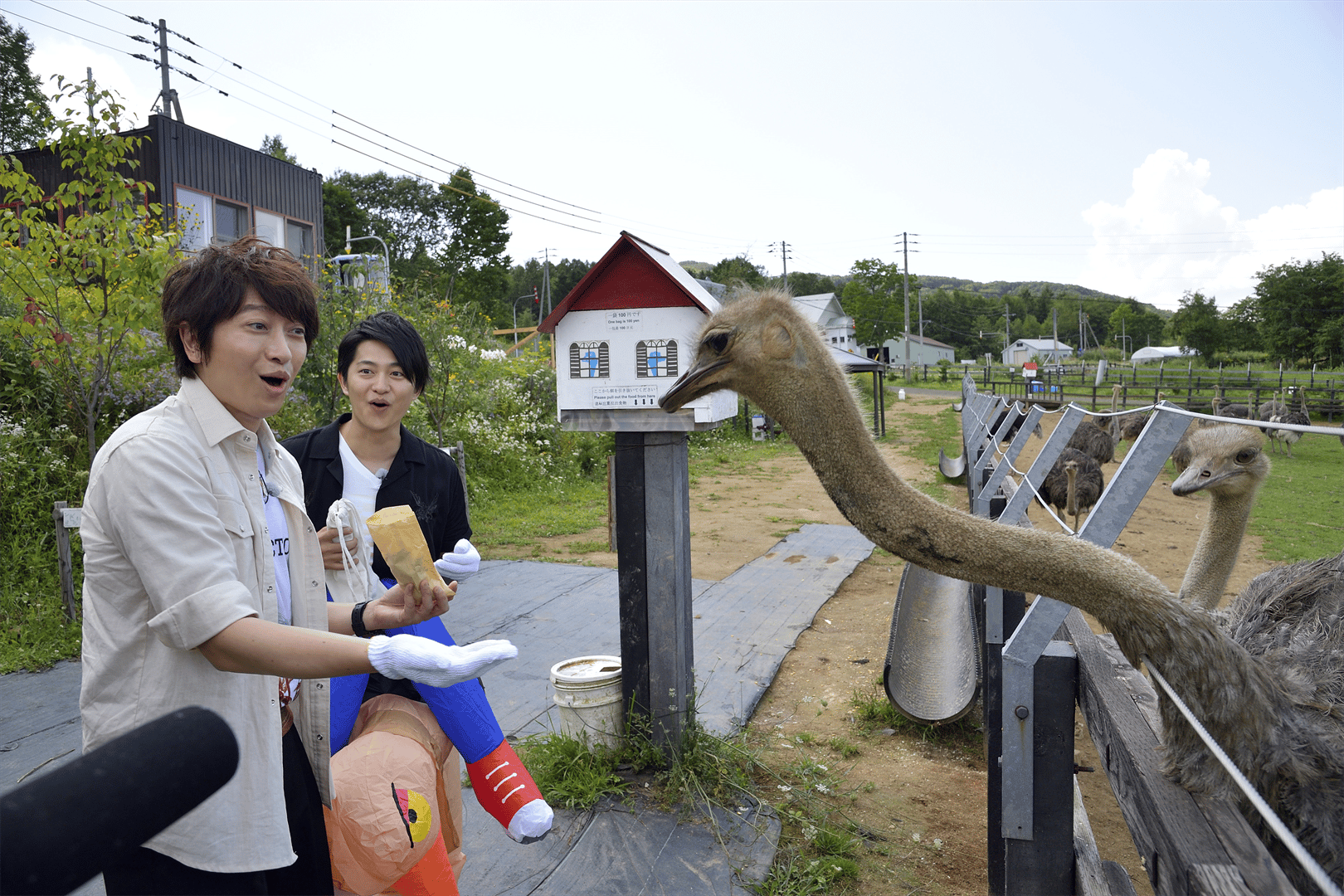 小野下野のどこでもクエスト (アニメ) | 無料動画・見逃し配信を見る