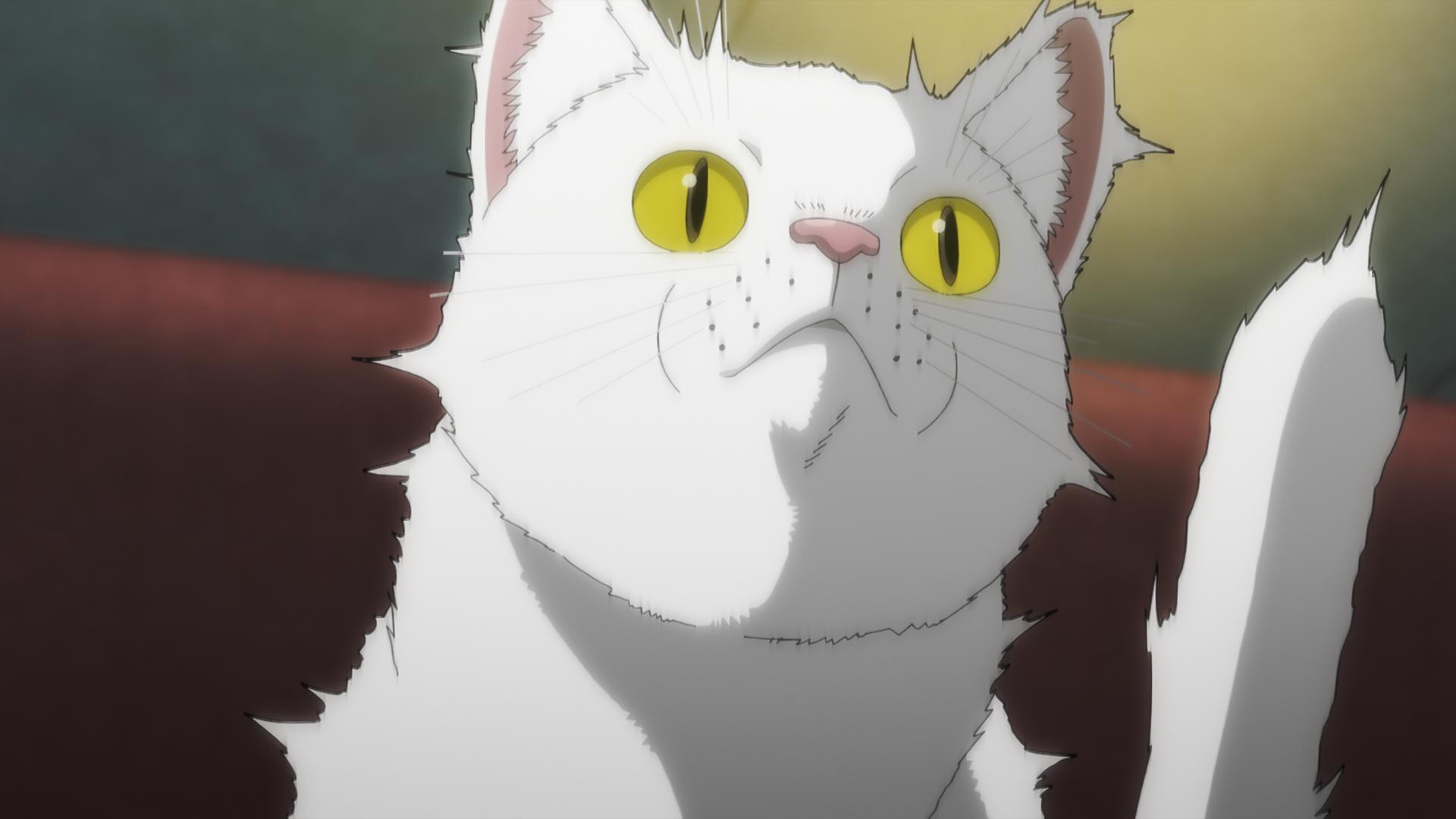 ニャイト・オブ・ザ・リビングキャット 1 テオのコミック ホークマン #メカルーツ #本 #コミック／コミック