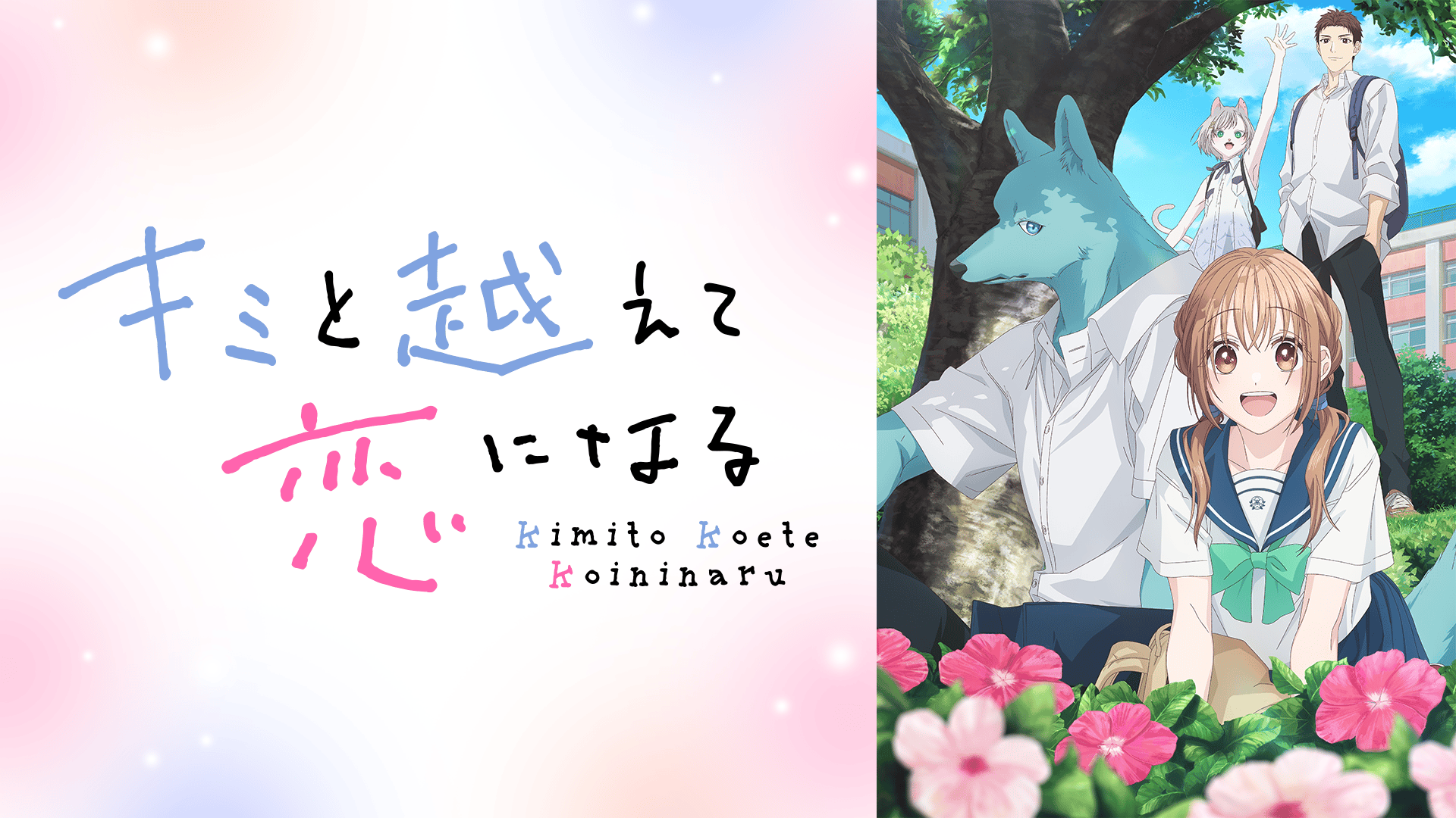 アニメ｜陰陽廻天 Re:バースの動画や見逃しを無料で見れる配信サイトまとめ