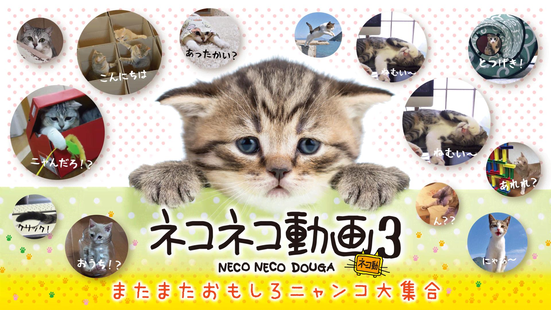 ネコネコニャンニャン 