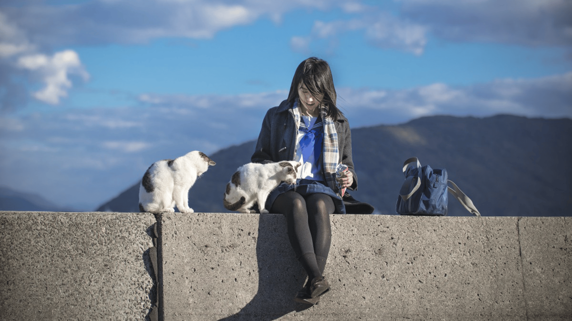 猫島の歩き方 佐柳島【無料1週間】 | 新しい未来のテレビ | ABEMA