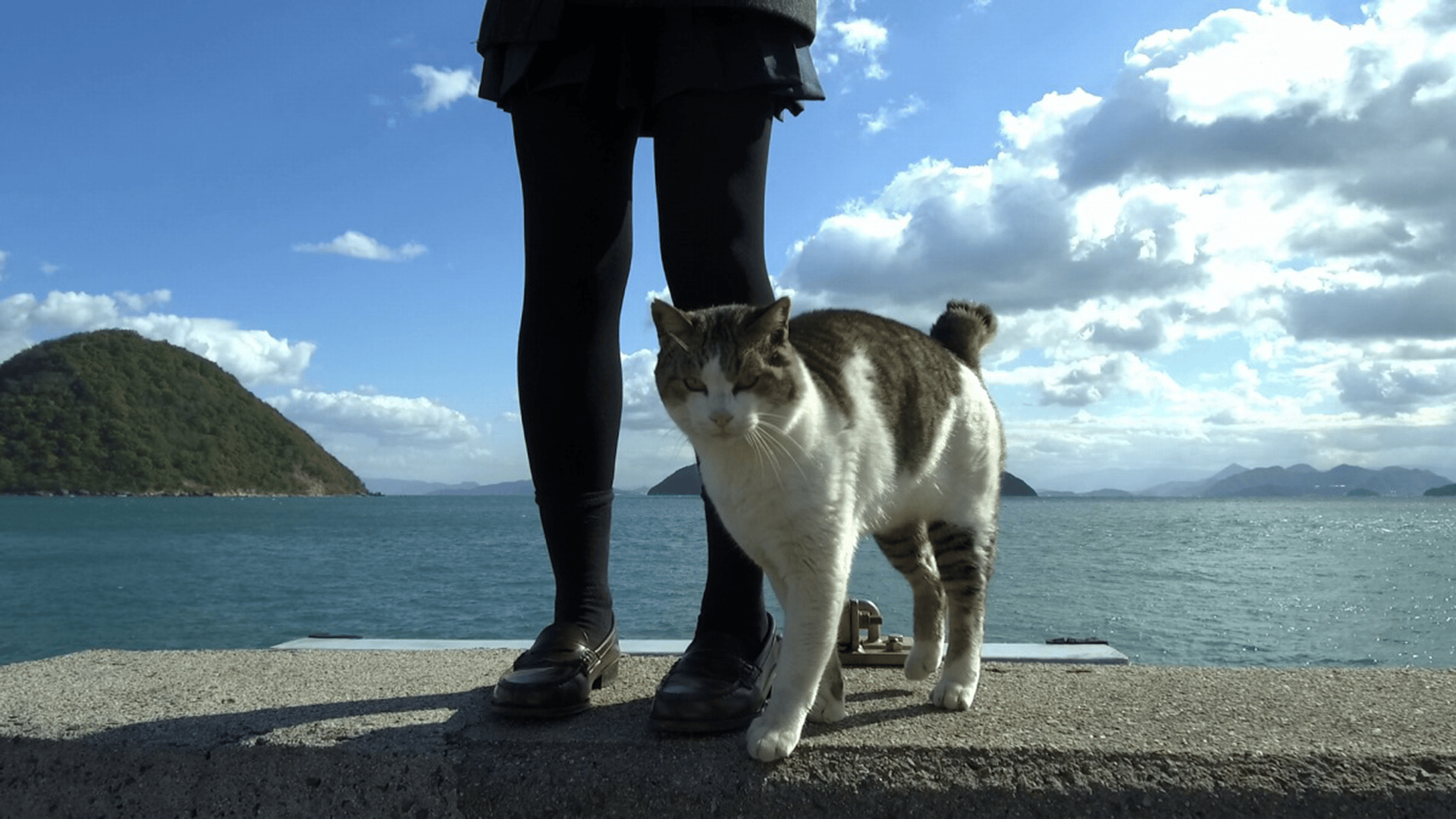 猫島の歩き方 佐柳島【ABEMA初／無料1週間】 | 新しい未来のテレビ | ABEMA