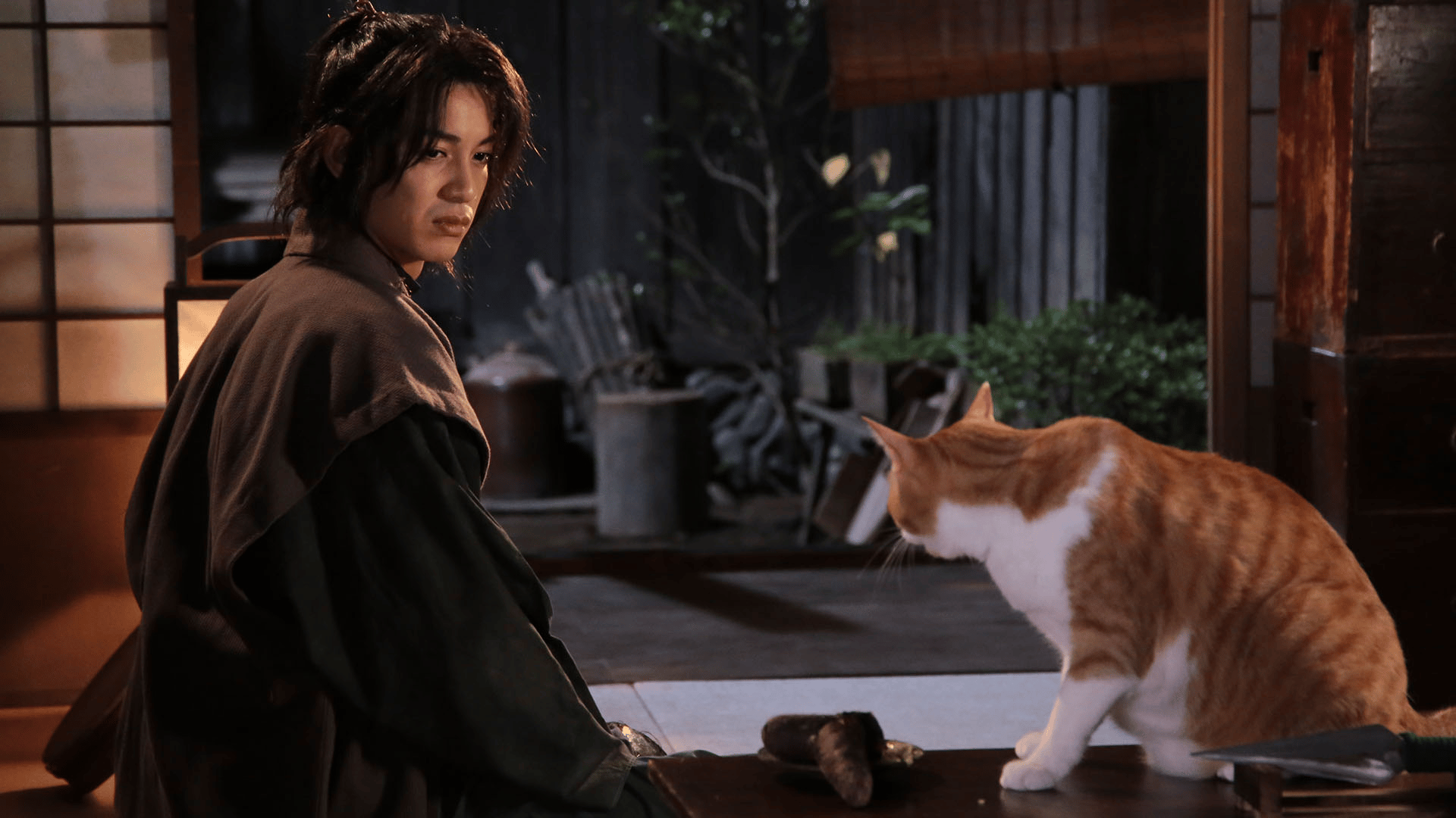 猫忍 (ドラマ) | 無料動画・見逃し配信を見るなら | ABEMA