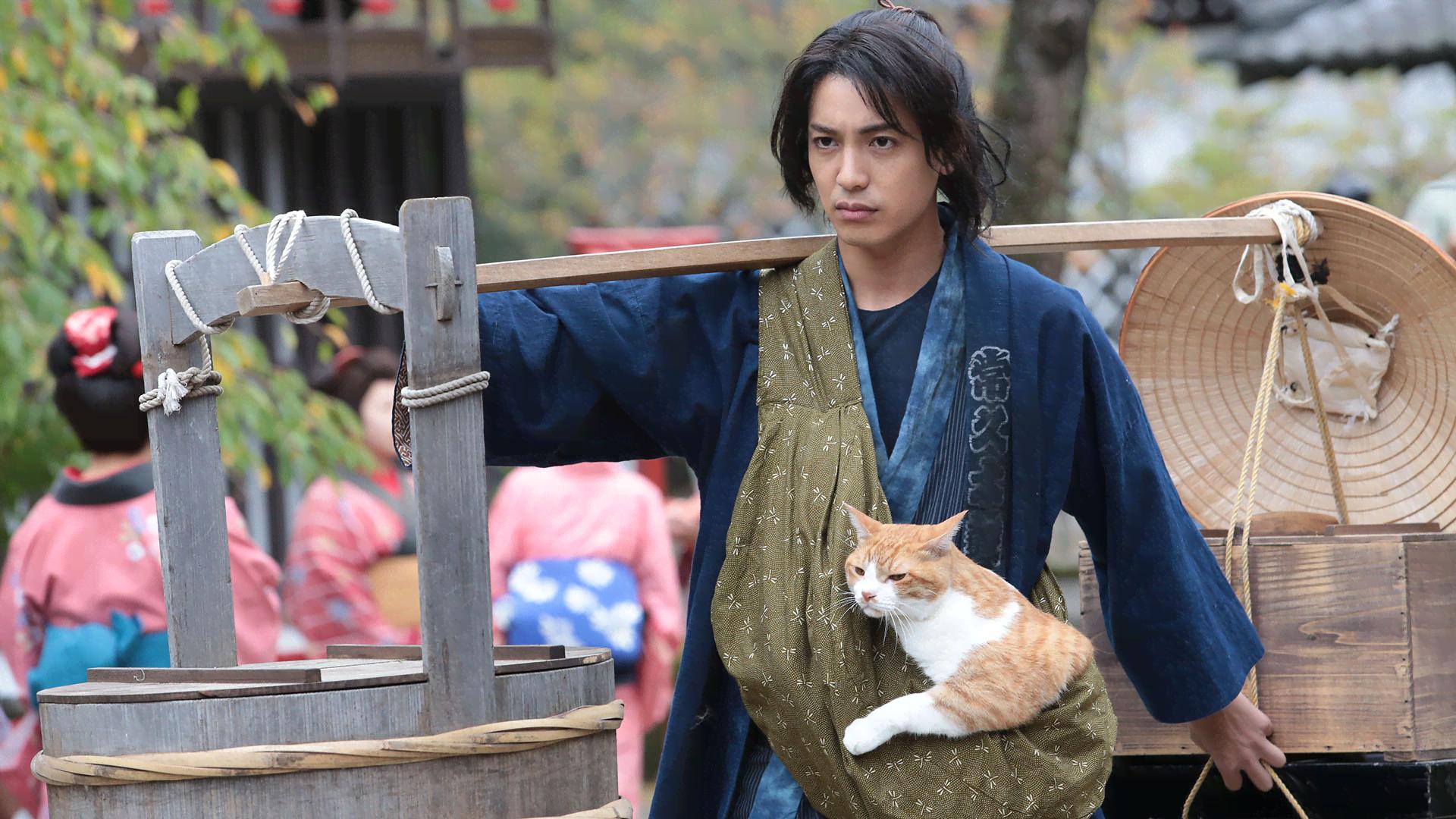 猫忍 (ドラマ) | 無料動画・見逃し配信を見るなら | ABEMA