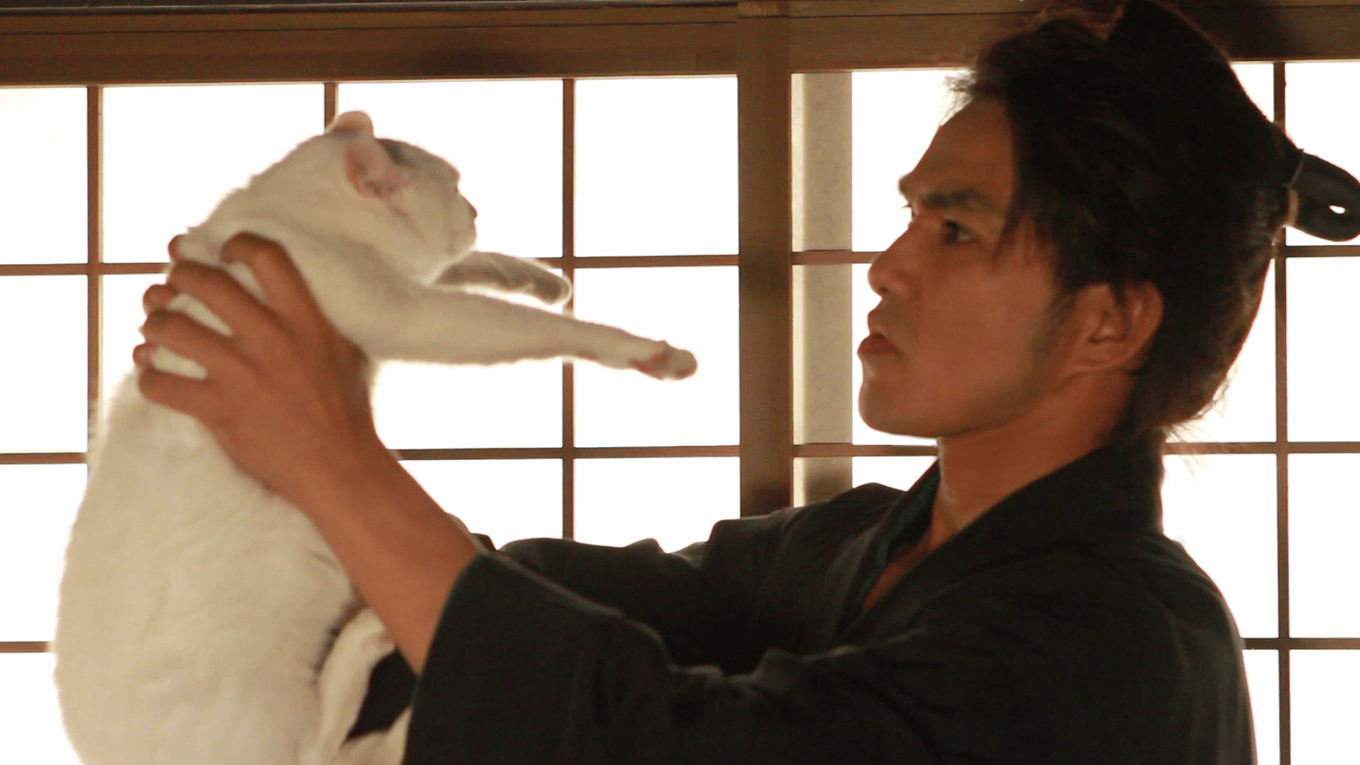 猫侍 猫侍 コレクターズセット（期間限定発売） | HMV&BOOKS online