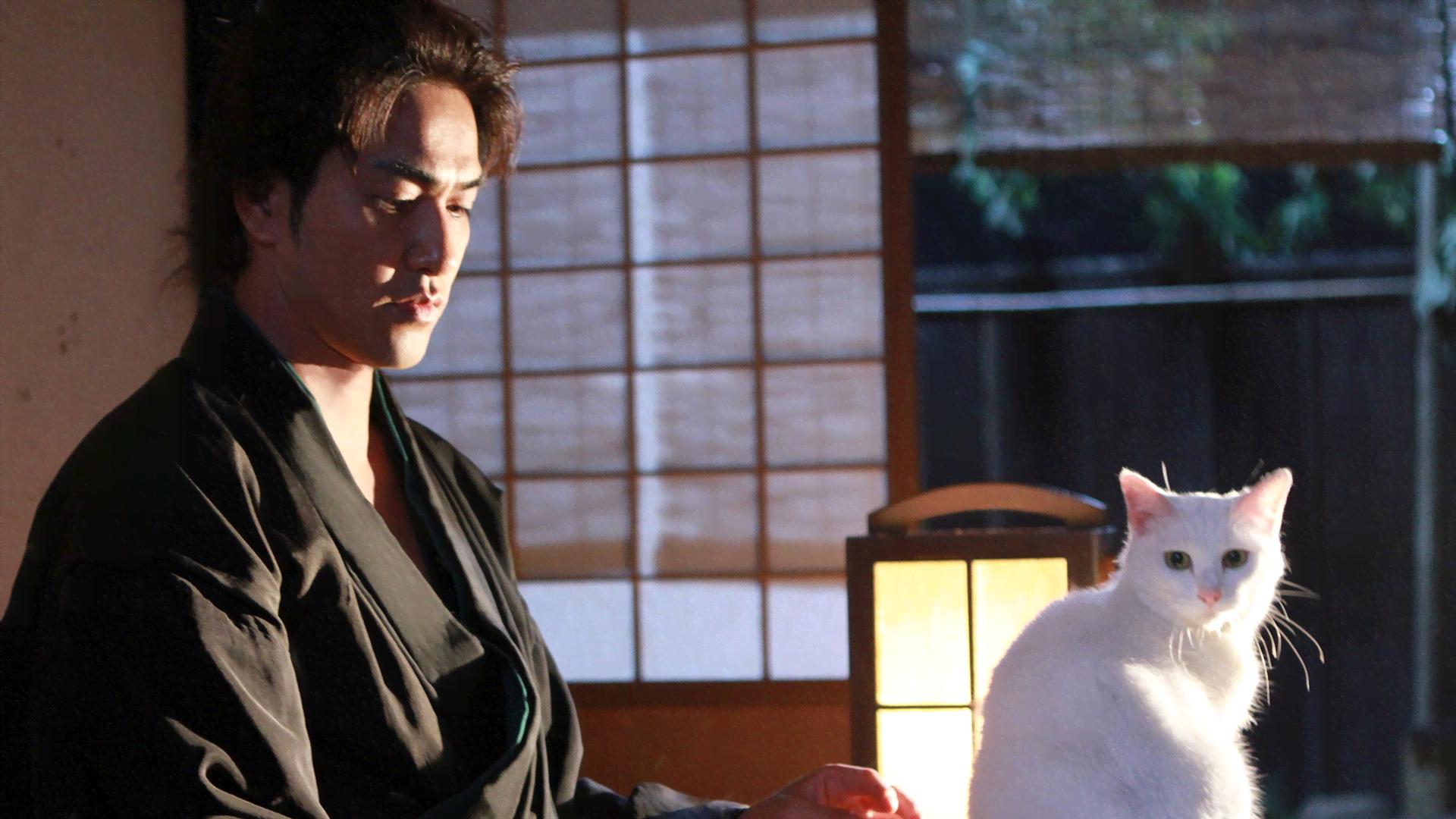 猫侍 - season1 - 3話 (ドラマ) | 無料動画・見逃し配信を見るなら | ABEMA