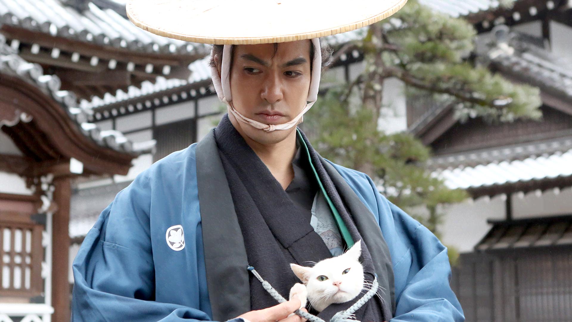 猫侍 - season2 - 11話 (ドラマ) | 無料動画・見逃し配信を見るなら