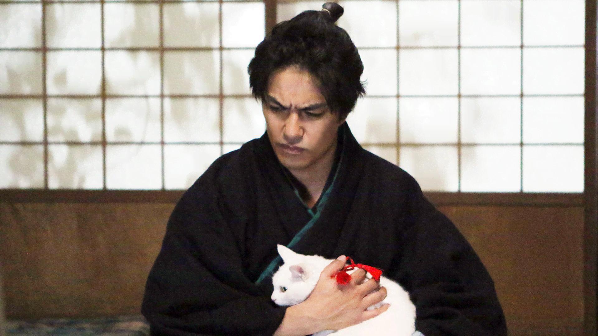 美*穂様 ドラマ「 猫侍 」「 猫侍 SEASON2 」DVD-BOX　セット ドラマ「猫侍SEASON2」DVD-BOX予約受付中