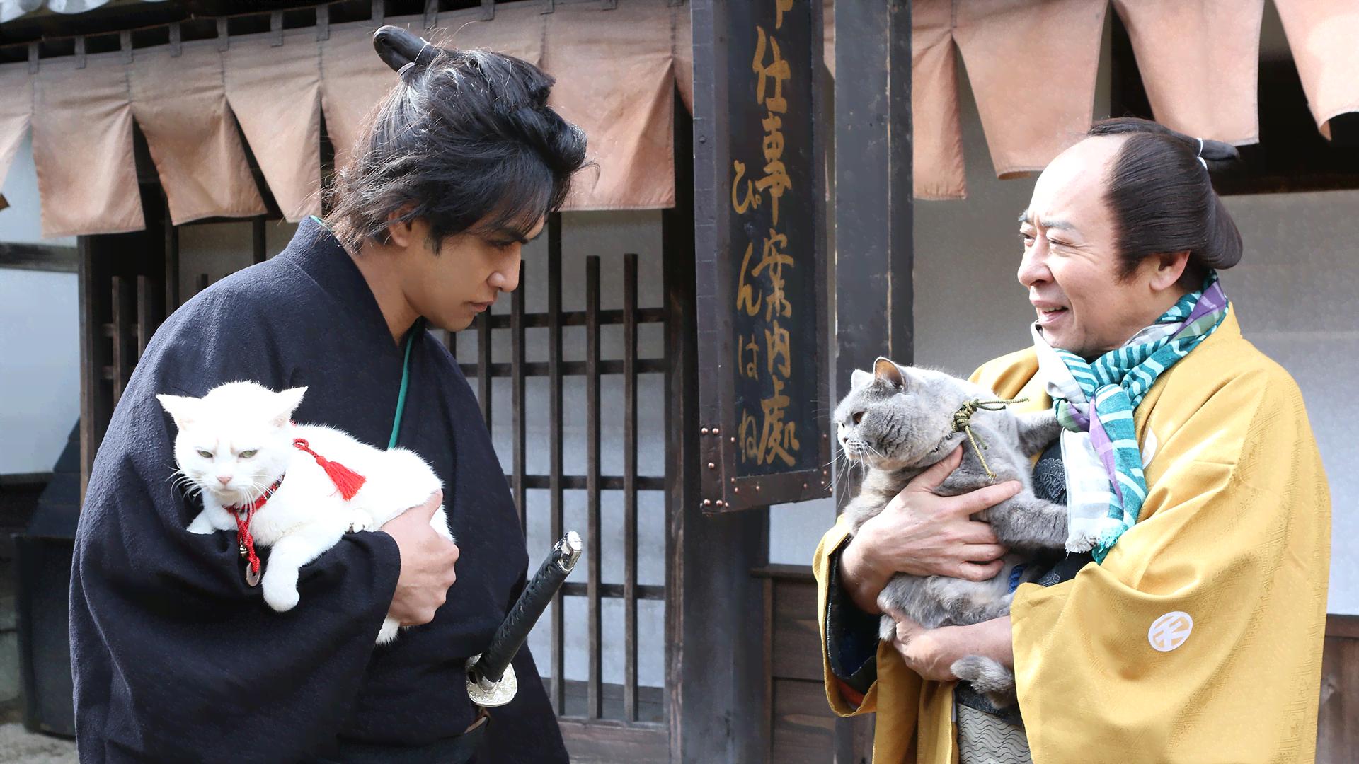 美*穂様 ドラマ「 猫侍 」「 猫侍 SEASON2 」DVD-BOX　セット Amazon.com: Japanese TV Series - Neko Zamurai Season 2 (TV Series