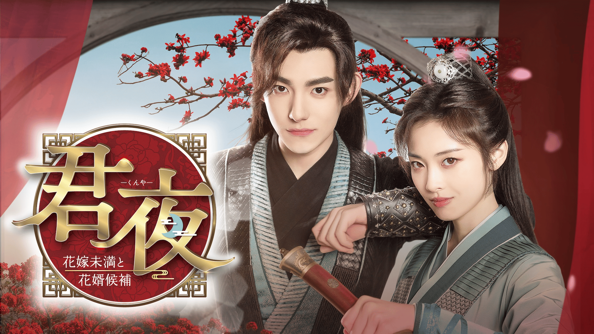 DVD 中国ドラマ 君夜 花嫁未満と花嫁候補 6巻 全巻 レンタル DVD 中国ドラマ 君夜 花嫁未満と花嫁候補 6巻 全巻 レンタル DVD