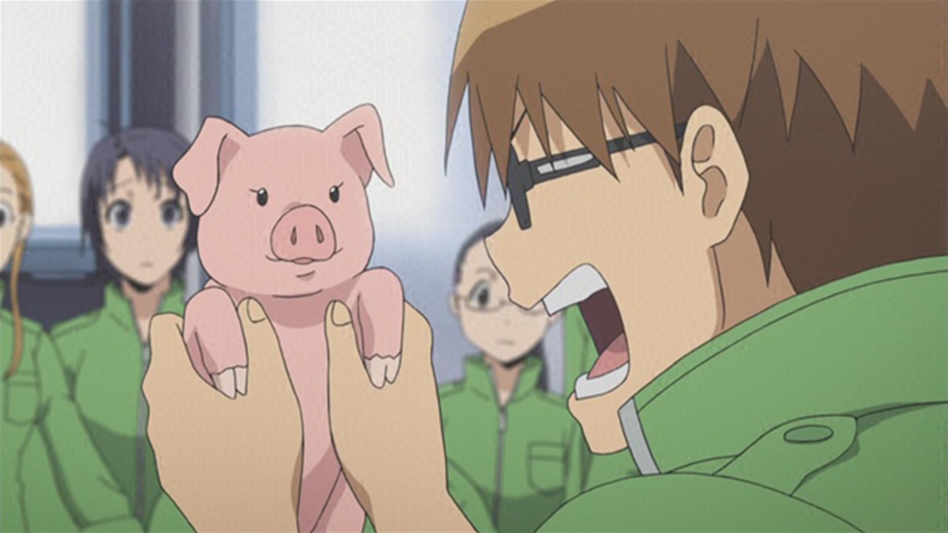 銀の匙 Silver Spoon（第1期） - 第1期 - 3話 (アニメ) | 無料動画