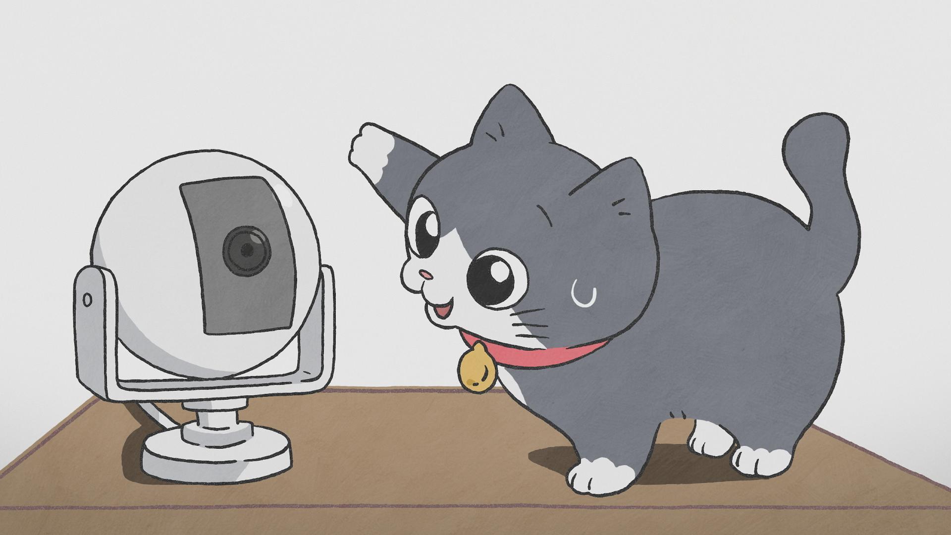 しおねこ 71zNpUTzAxL._UF350,350_QL50_.jpg