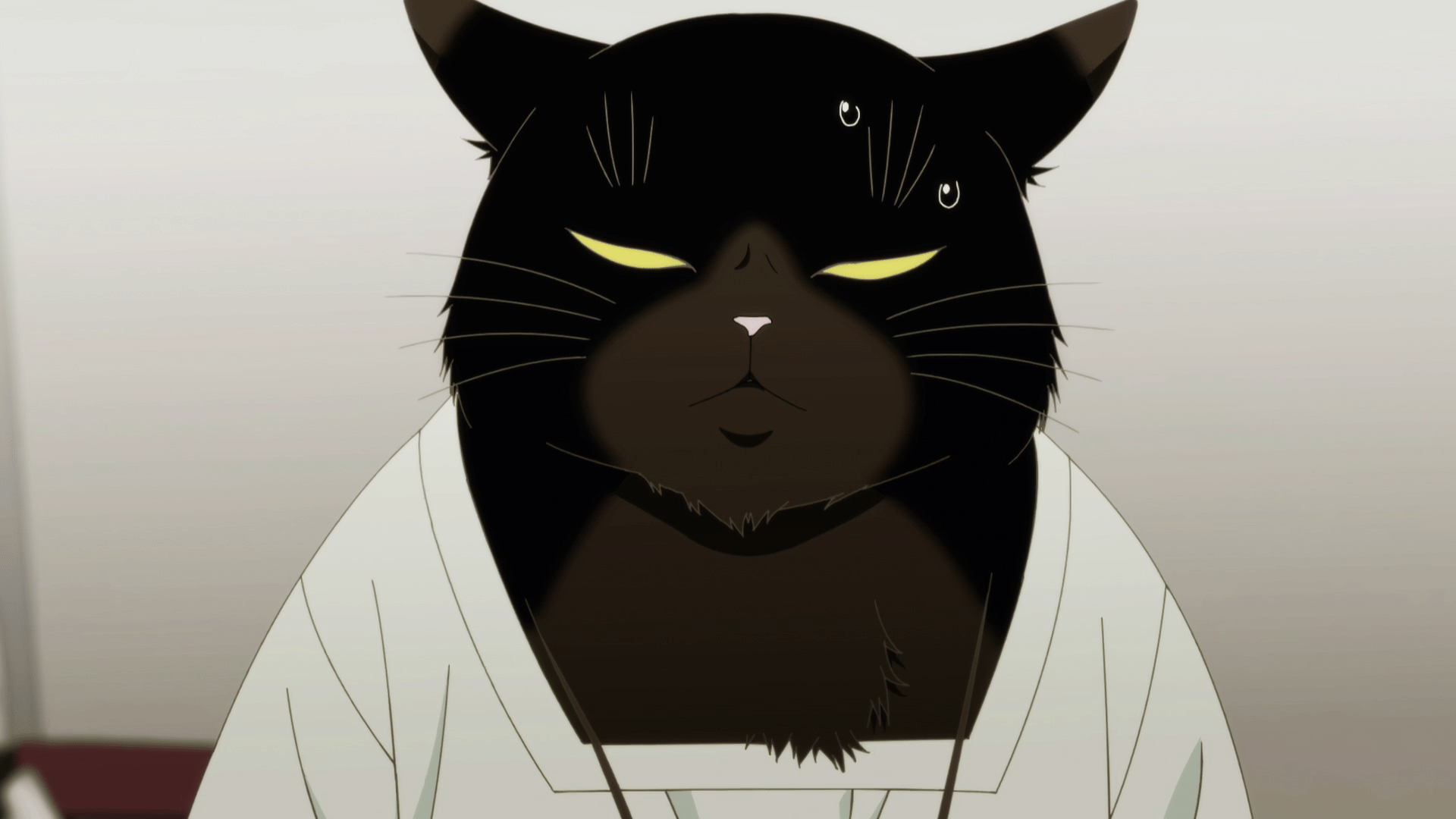 デキる猫は今日も憂鬱　1〜8巻 デキる猫は今日も憂鬱(8) (ワイドKC) | 山田 ヒツジ |本 | 通販