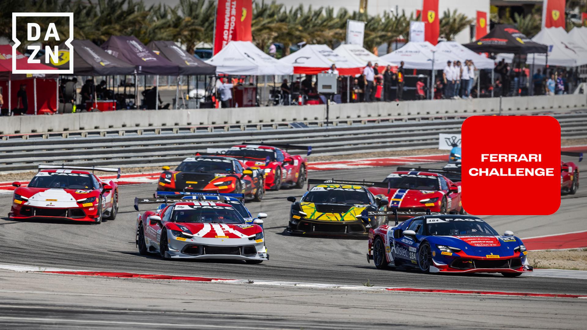 フェラーリ・チャレンジ・北米 第3戦 COTA : トロフェオ ピレリ レース