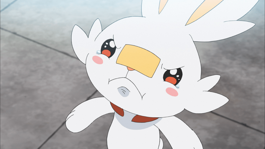 アニメ「ポケットモンスター」 - 第17話 ヒバニー、炎のキック！明日に向かって！！