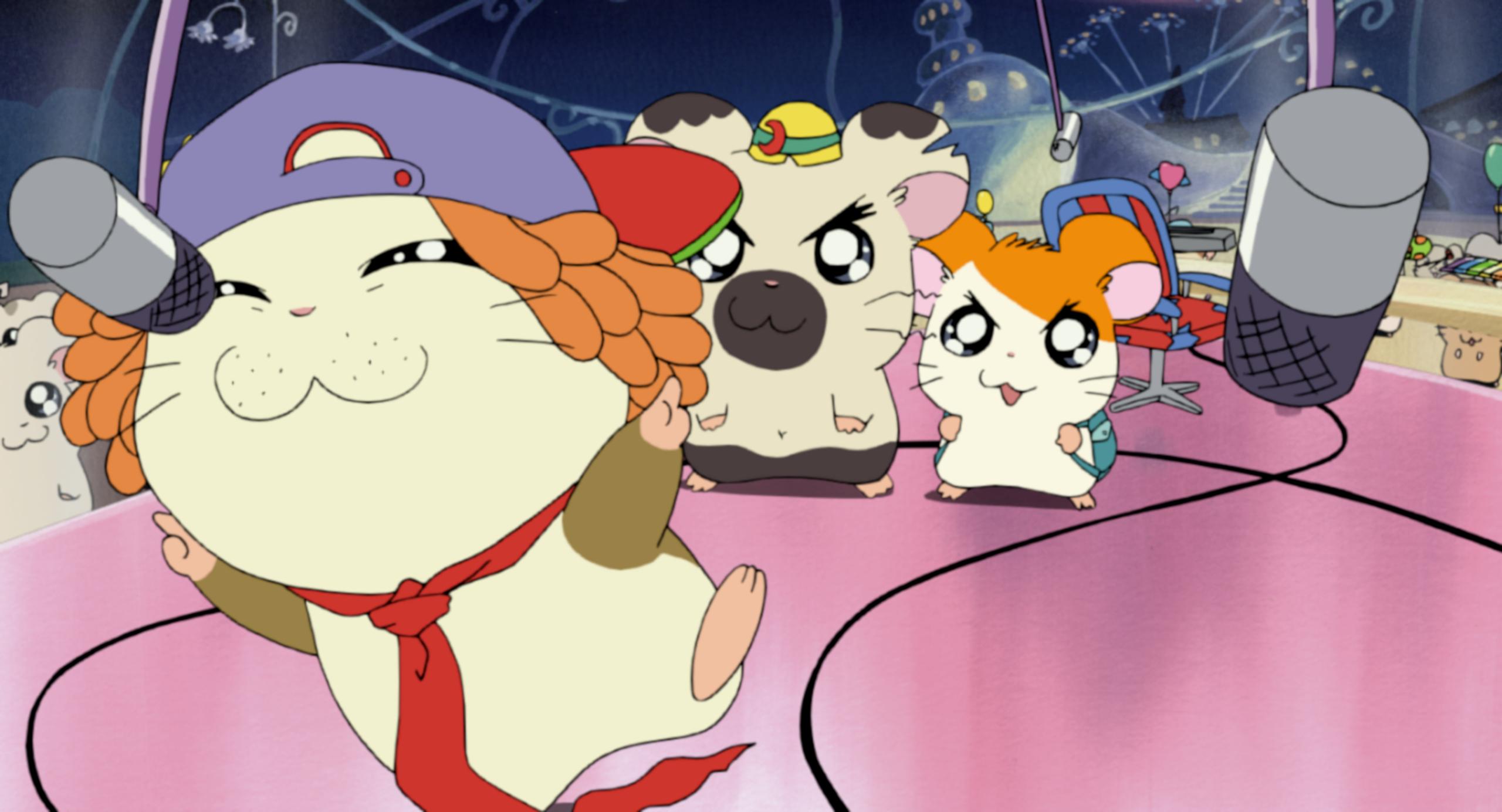 劇場版とっとこハム太郎 ハムハムランド大冒険 - シーズン1 - 話