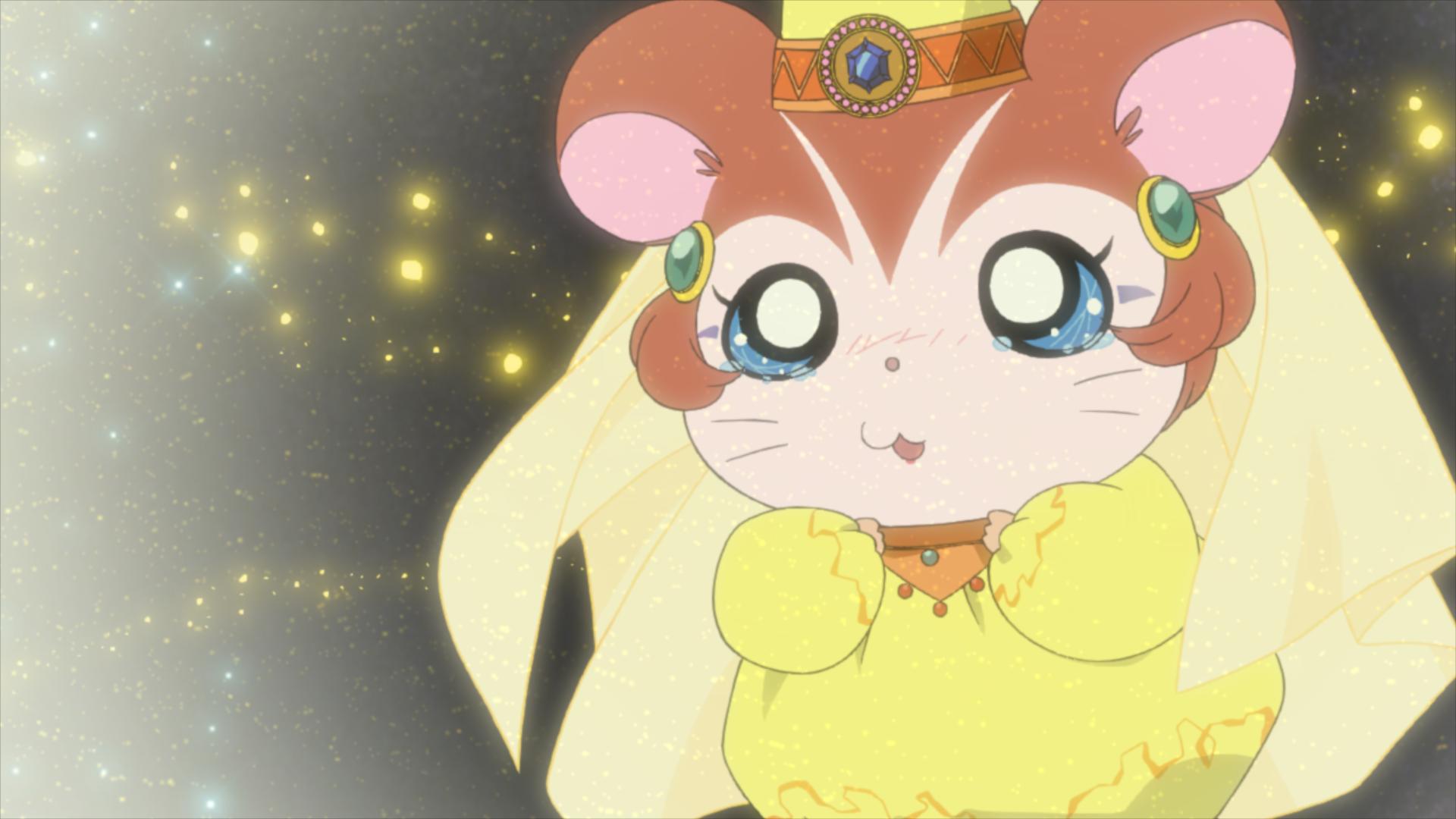 劇場版とっとこハム太郎 ハムハムハムージャ！幻のプリンセス