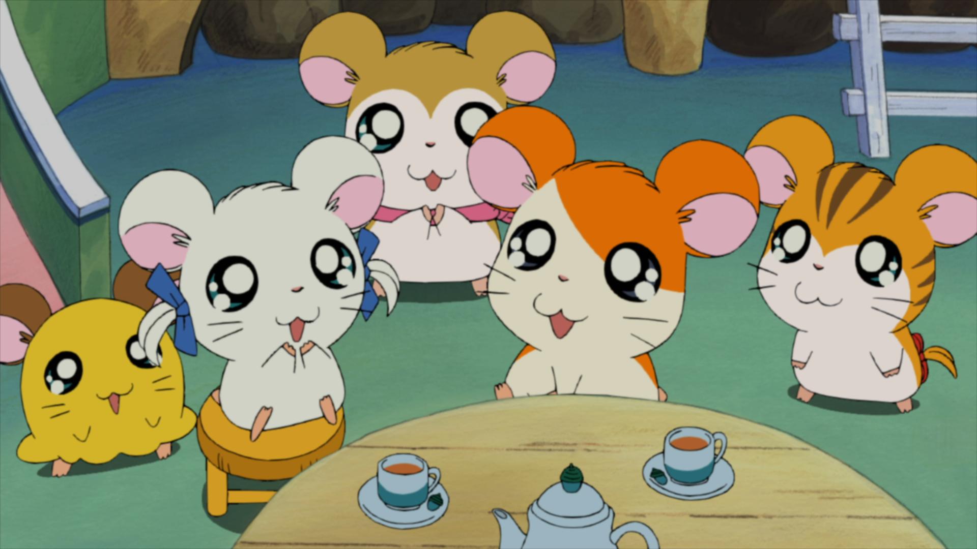 劇場版とっとこハム太郎 ハムハムハムージャ！幻のプリンセス