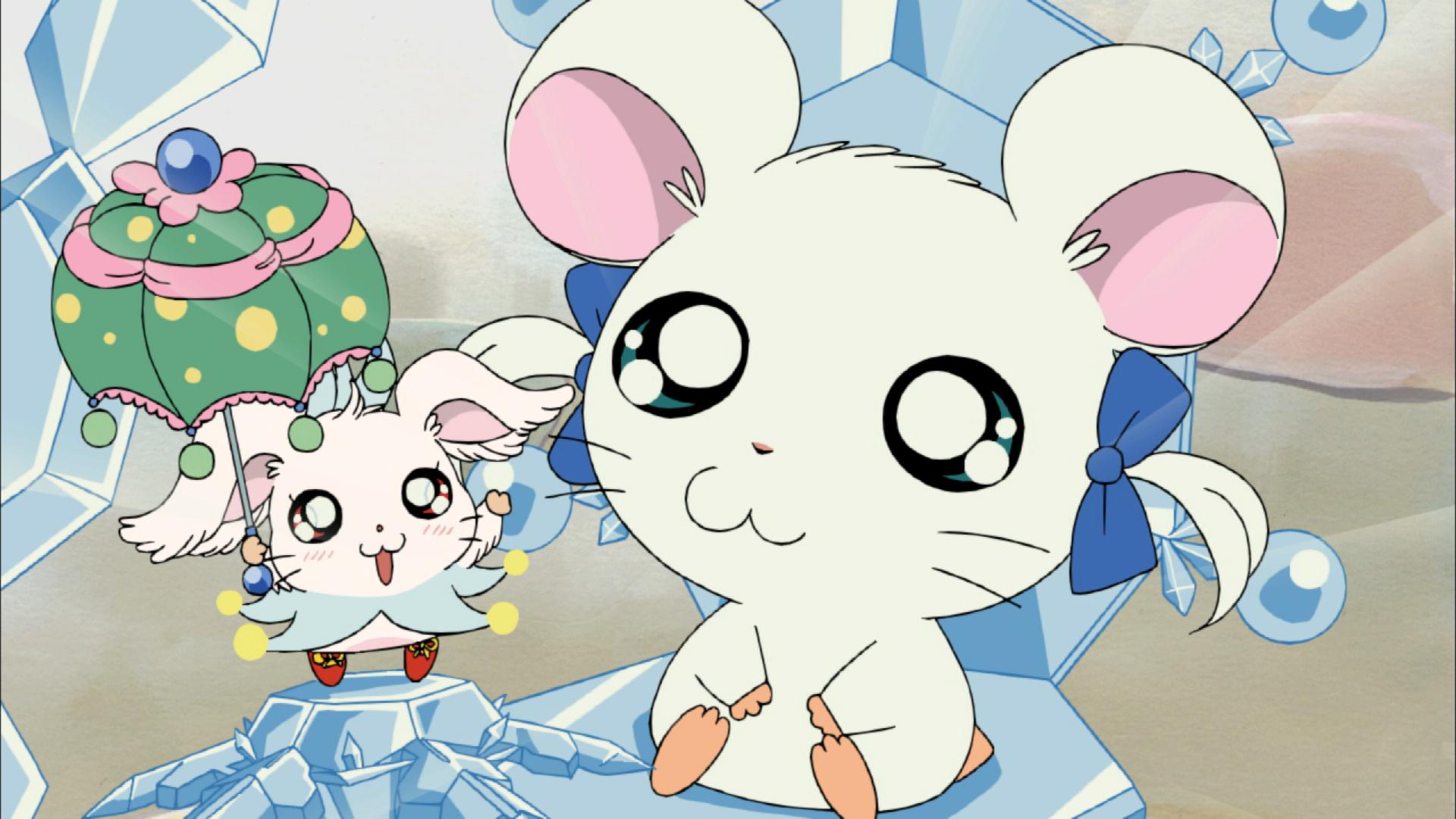 劇場版 とっとこハム太郎 ハムハムグランプリン オーロラ谷の奇跡 リボンちゃん危機一髪! [DVD] cm3dmju 劇場版とっとこハム太郎 ハムハムグランプリン オーロラ谷の奇跡