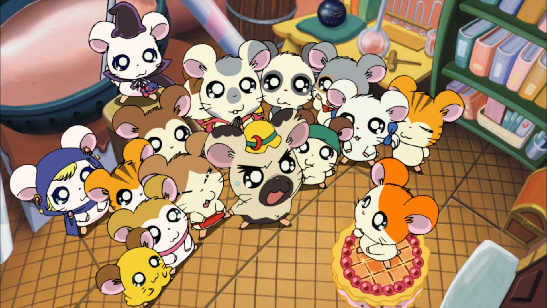 劇場版 とっとこハム太郎 　ふしぎのオニの絵本塔　DVD 初回特典タオルキャップ 劇場版 とっとこハム太郎 ふしぎのオニの絵本塔 DVD 初回特典