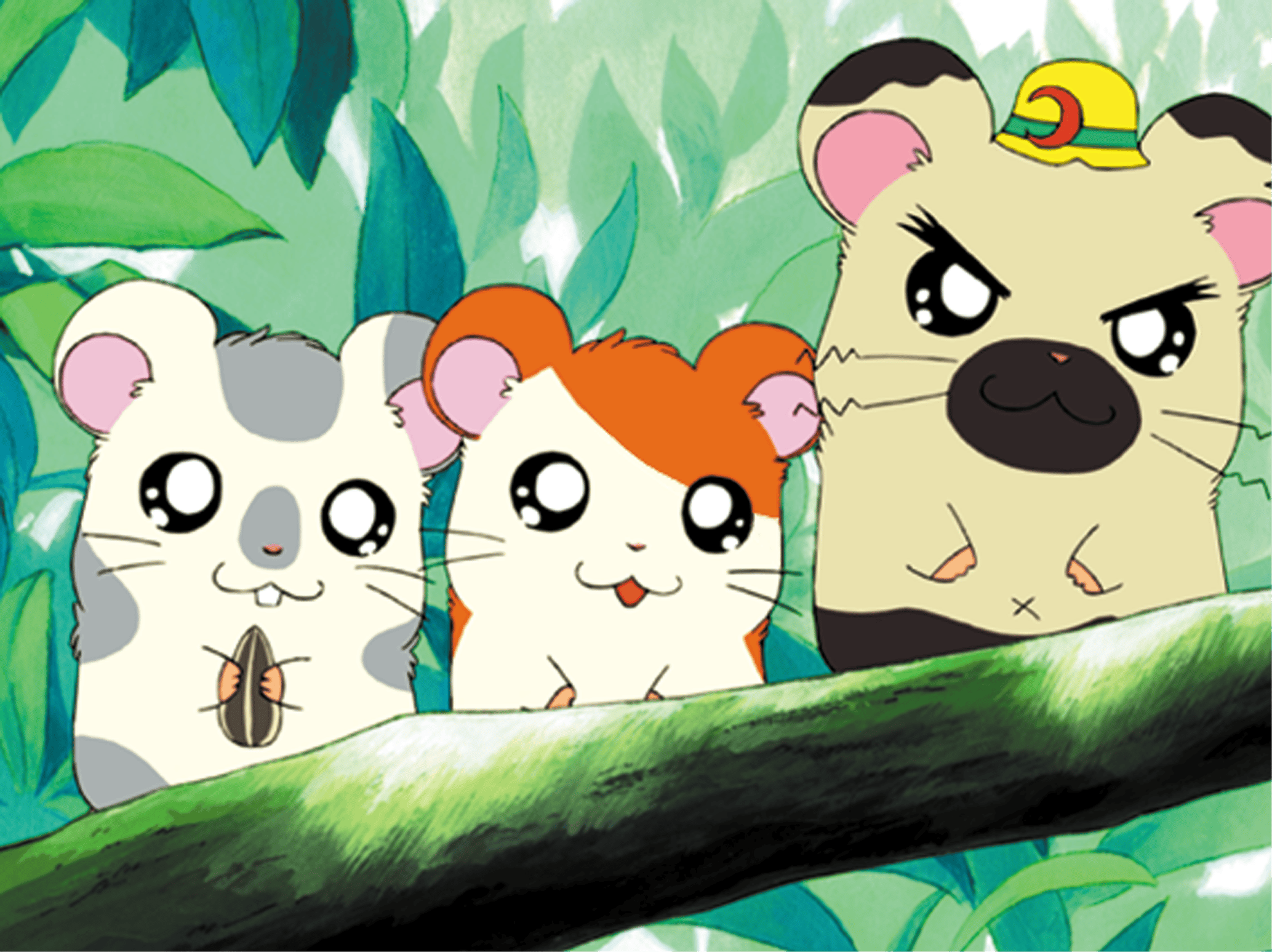 リボンちゃんのおうち　とっとこハム太郎 Amazon.co.jp: とっとこハム太郎 かぷっこふれんず リボンちゃん