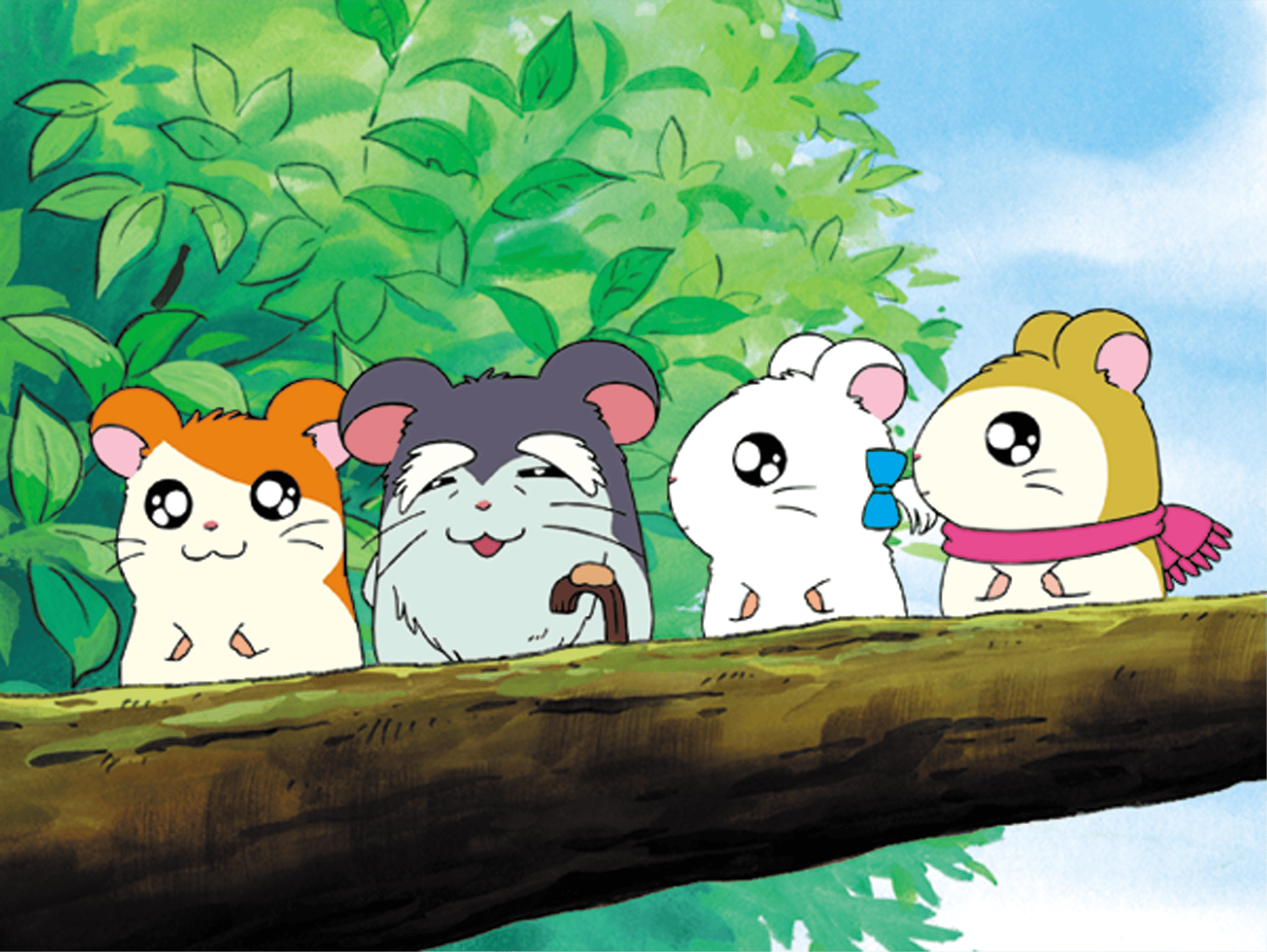 リボンちゃんのおうち　とっとこハム太郎 Amazon.co.jp: とっとこハム太郎 ハムちゃんコレクション