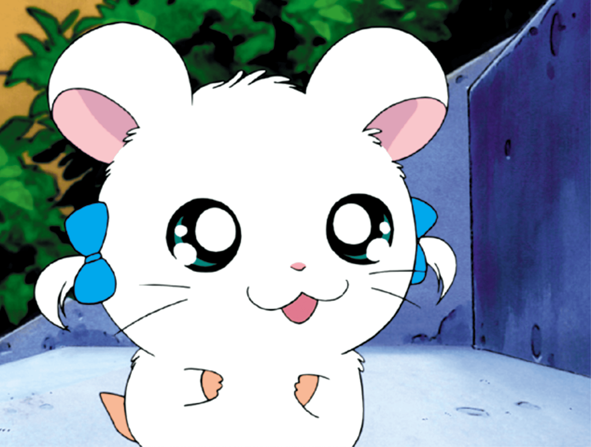 とっとこハム太郎 - とっとこハム太郎 - 36話 (アニメ) | 無料