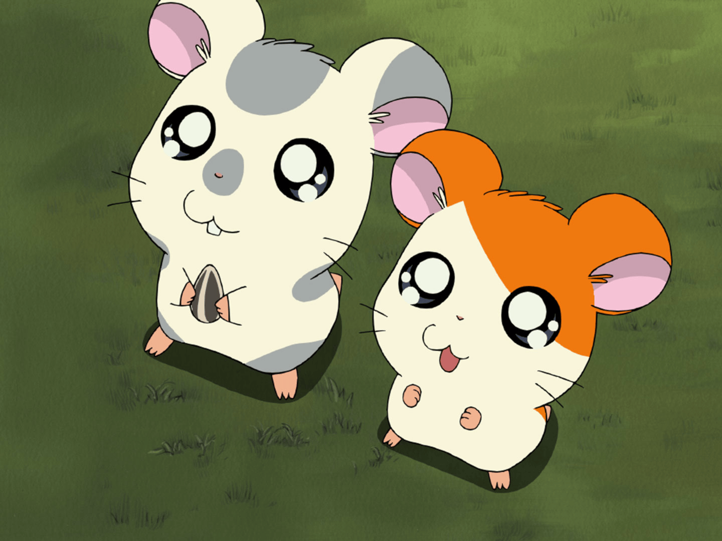 ハム太郎 Amazon.co.jp: ハム太郎とっとこうた 2005ver.: ミュージック