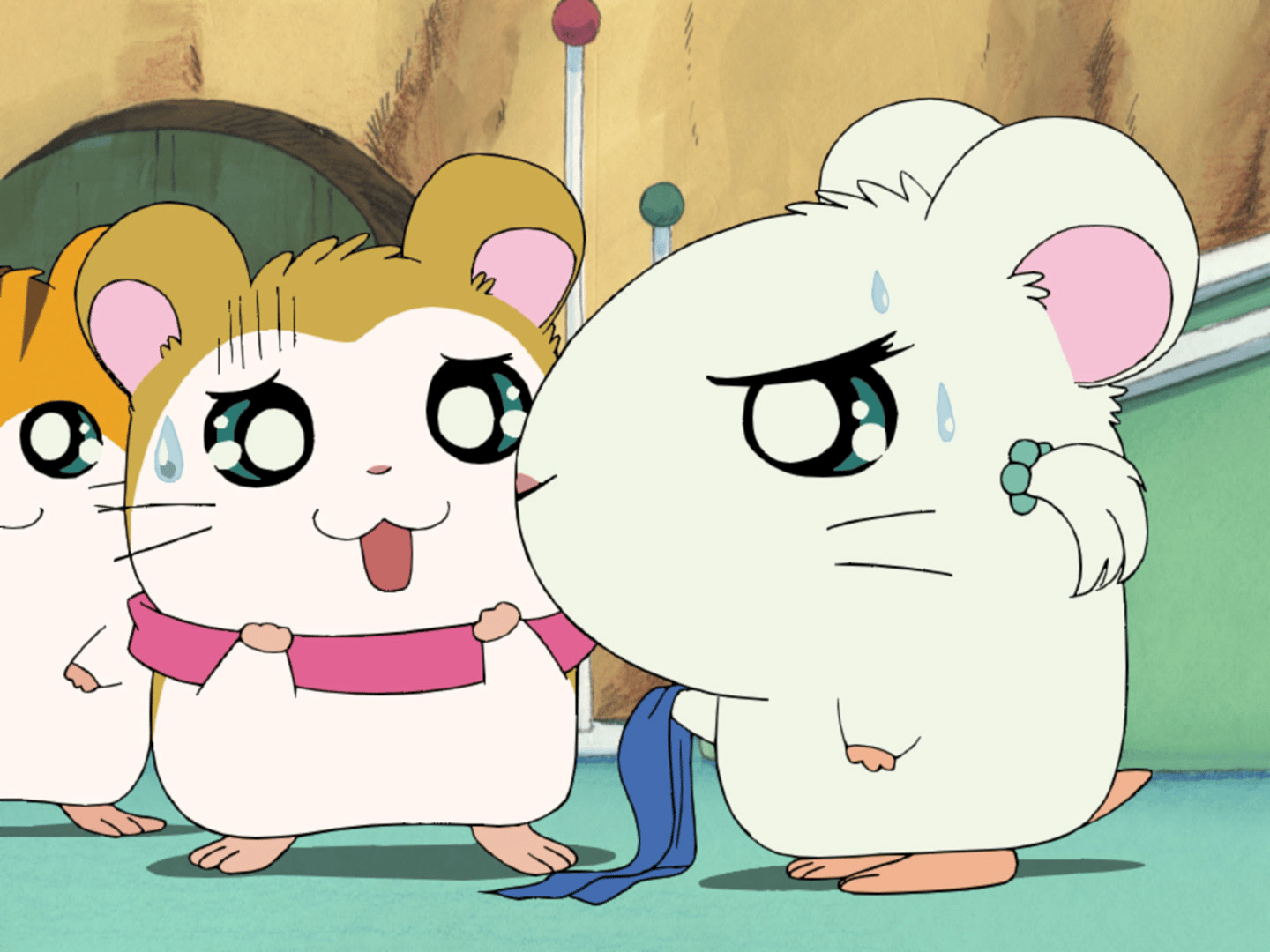 とっとこハム太郎 - とっとこハム太郎 - 15話 (アニメ) | 無料動画