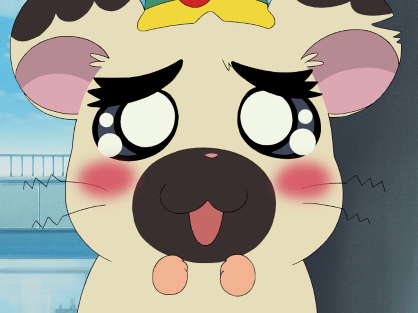 thumb002.png?height=720&