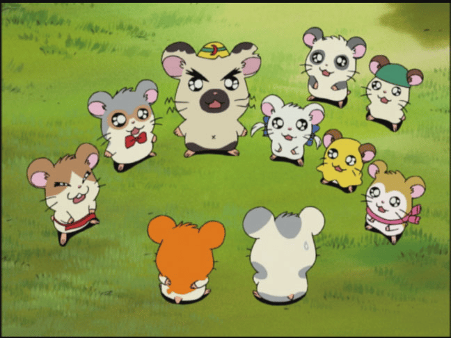 とっとこハム太郎 - とっとこハム太郎 - 173話 (アニメ) | 無料動画