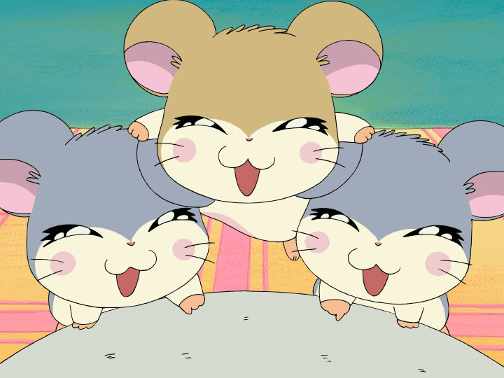 ハム太郎 とっとこハム太郎 - とっとこハム太郎 - 184話 (アニメ) | 無料動画