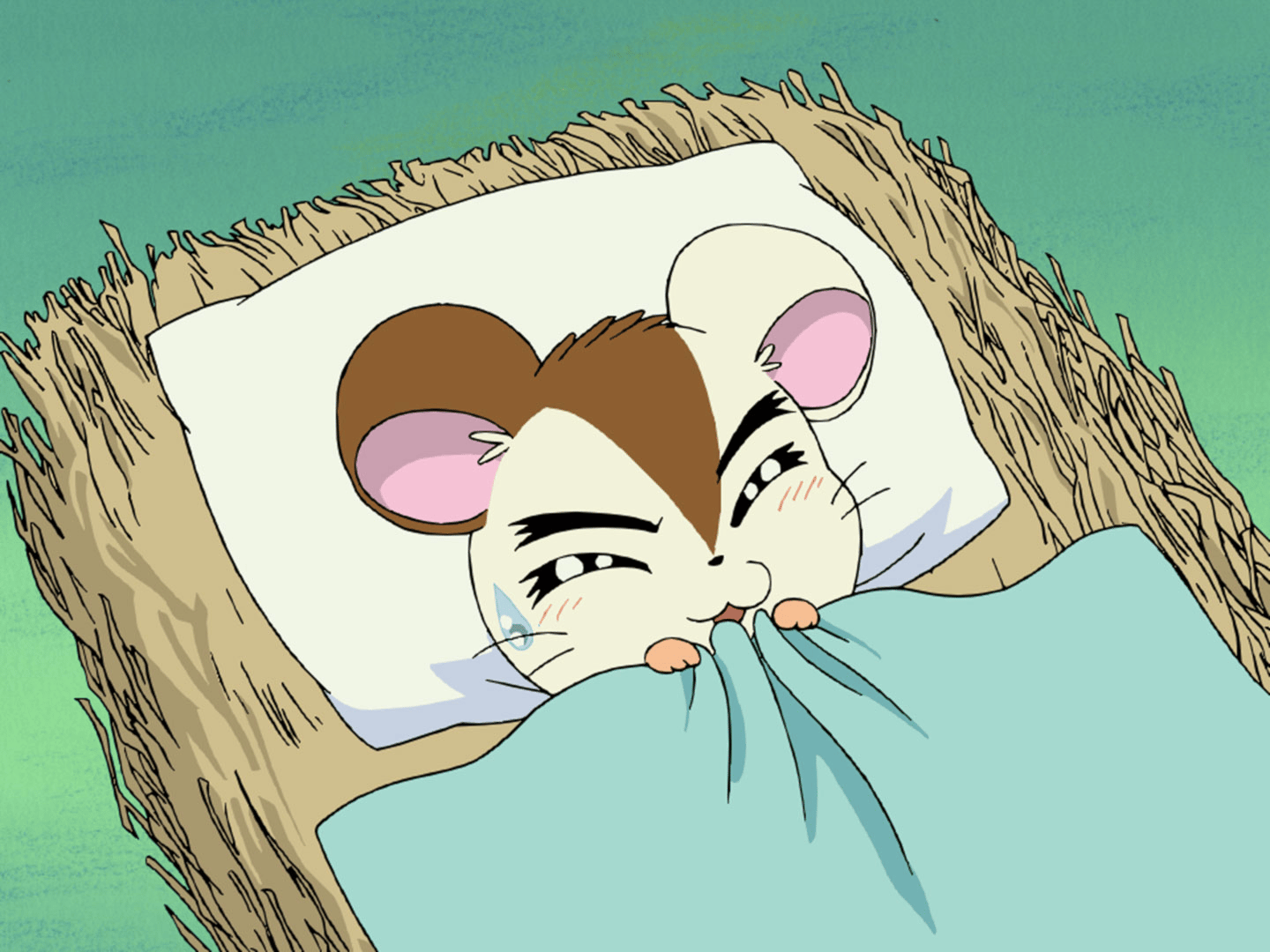 はむたろ様 thumb002.png?background=000000