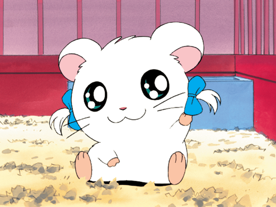 とっとこハム太郎 ウォータードーム リボンちゃん thumb002.png?height=720&