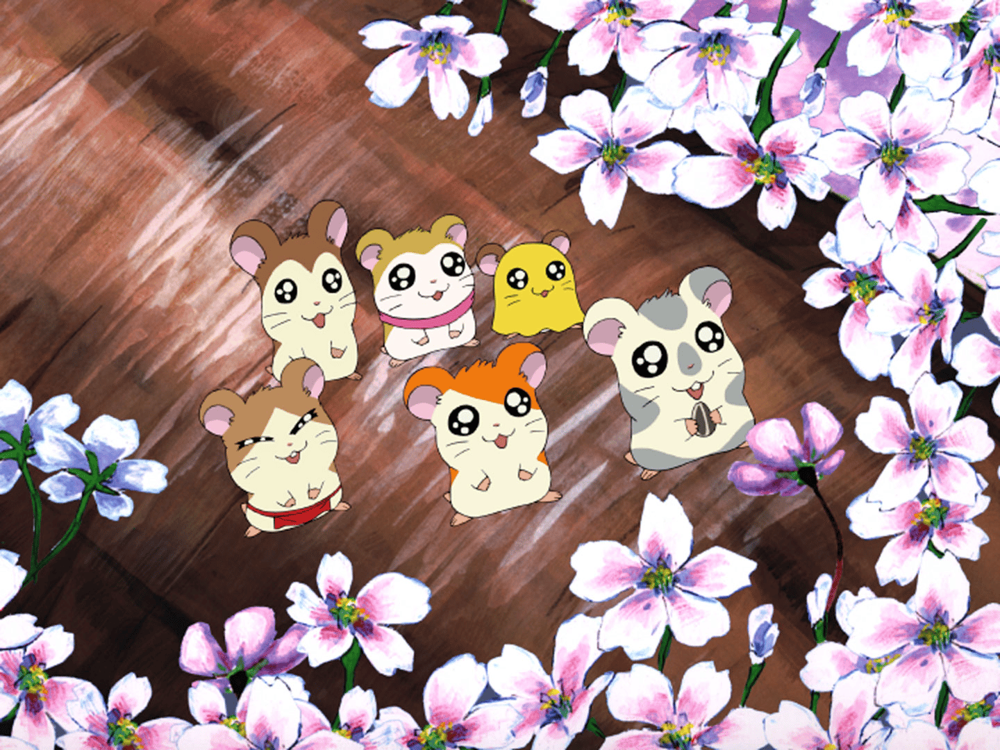 thumb002.png?height=720&