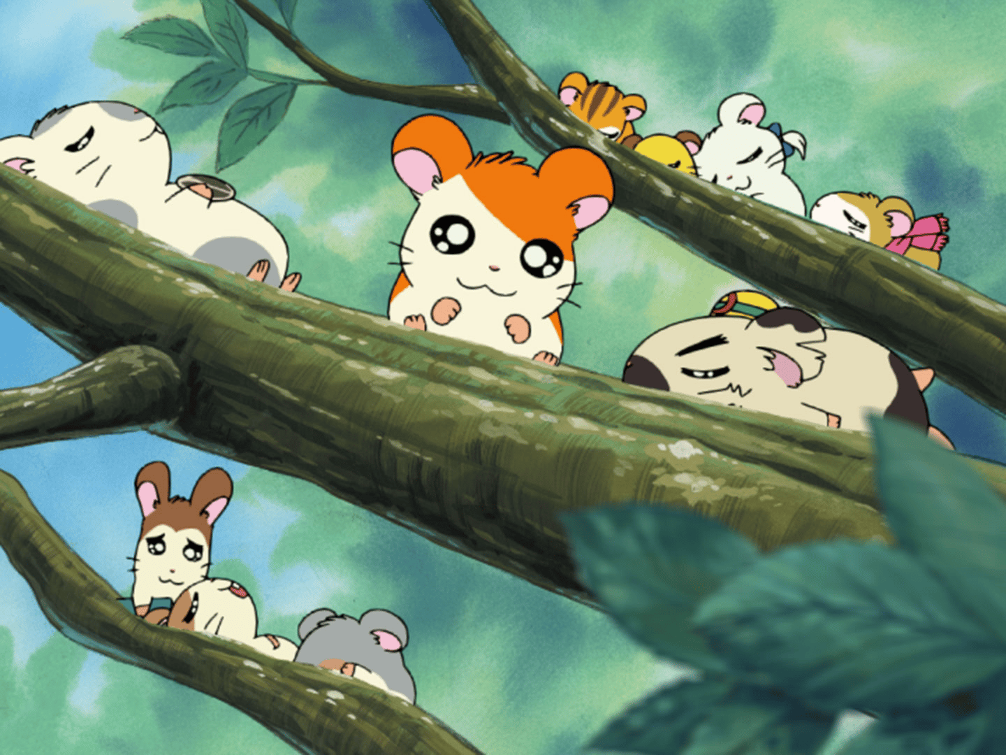 thumb002.png?height=720&